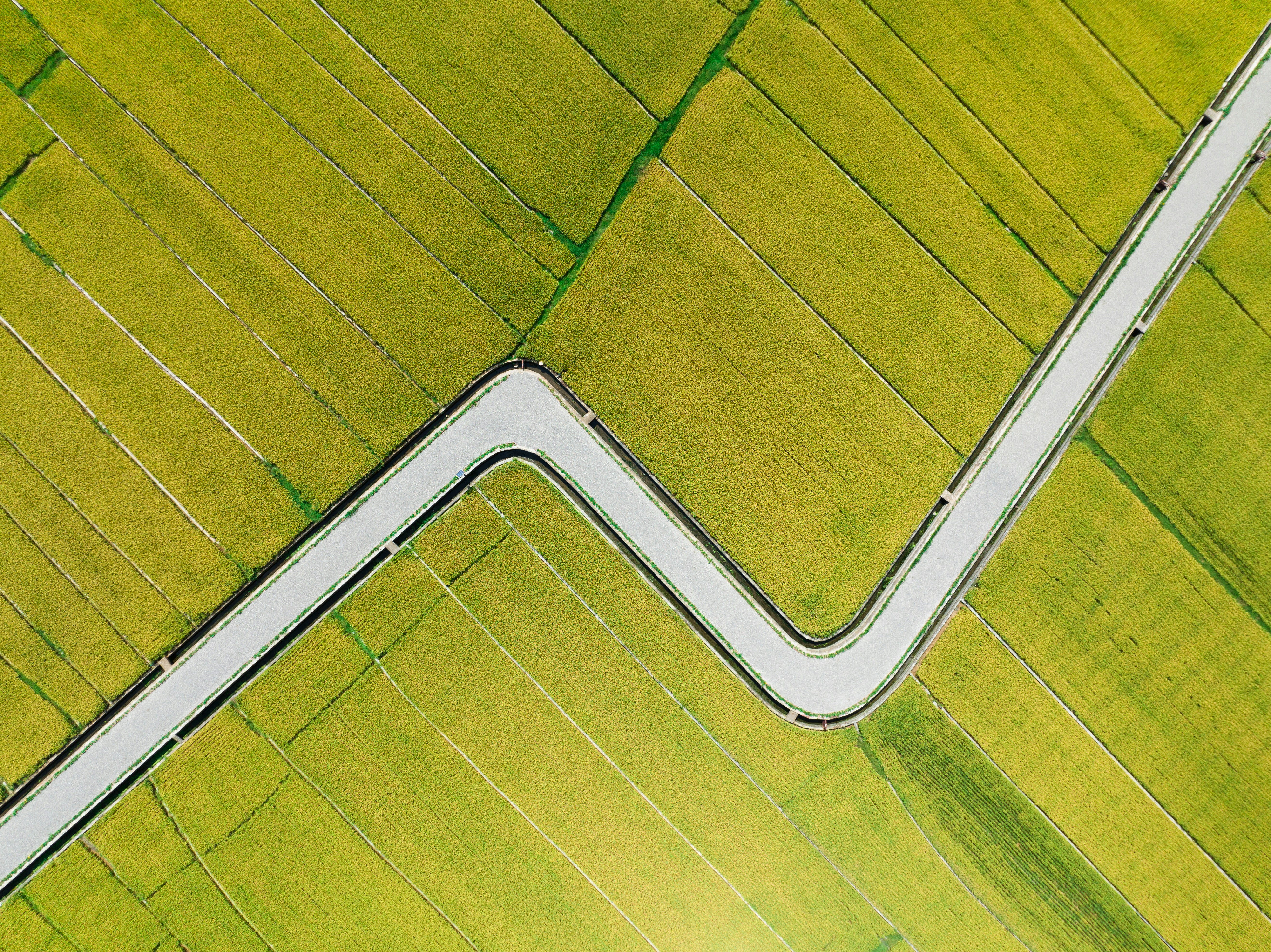 Photo by juniperphoton