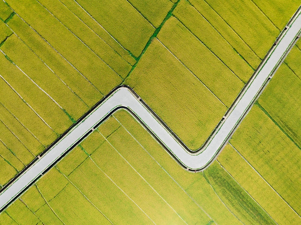 a close-up of a yellow and green striped floor