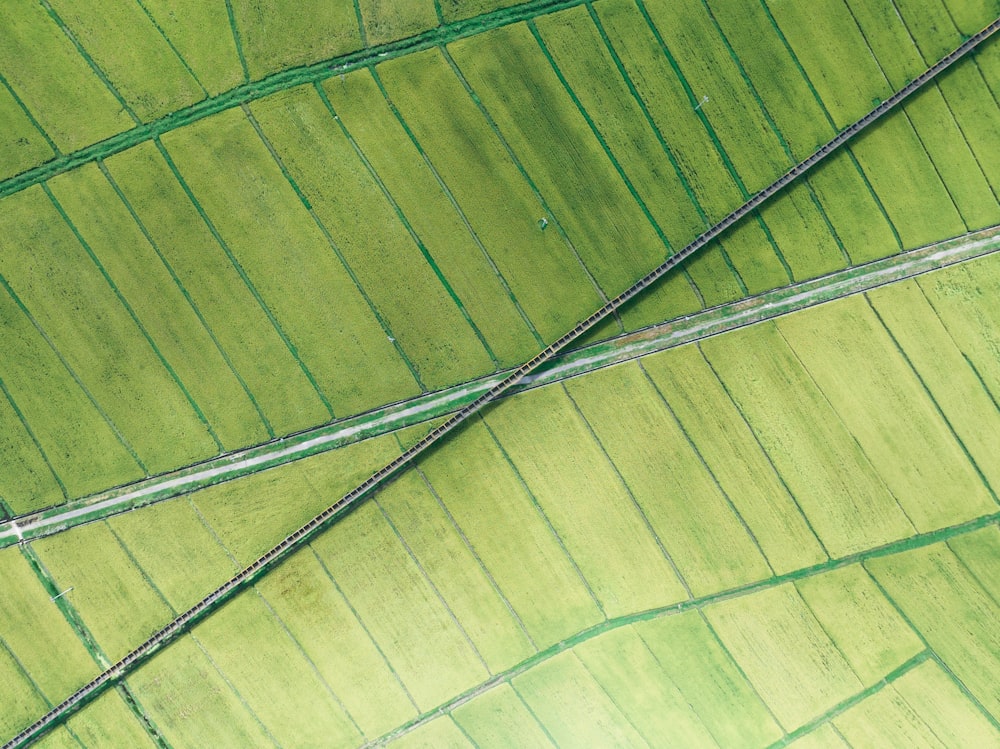 a close-up of a green field