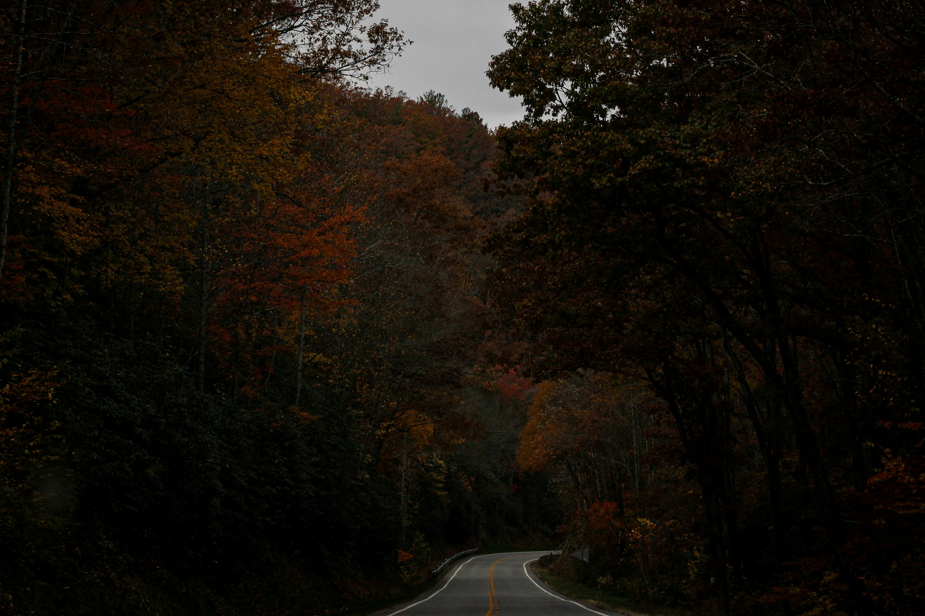 Photo by tajeandphotography