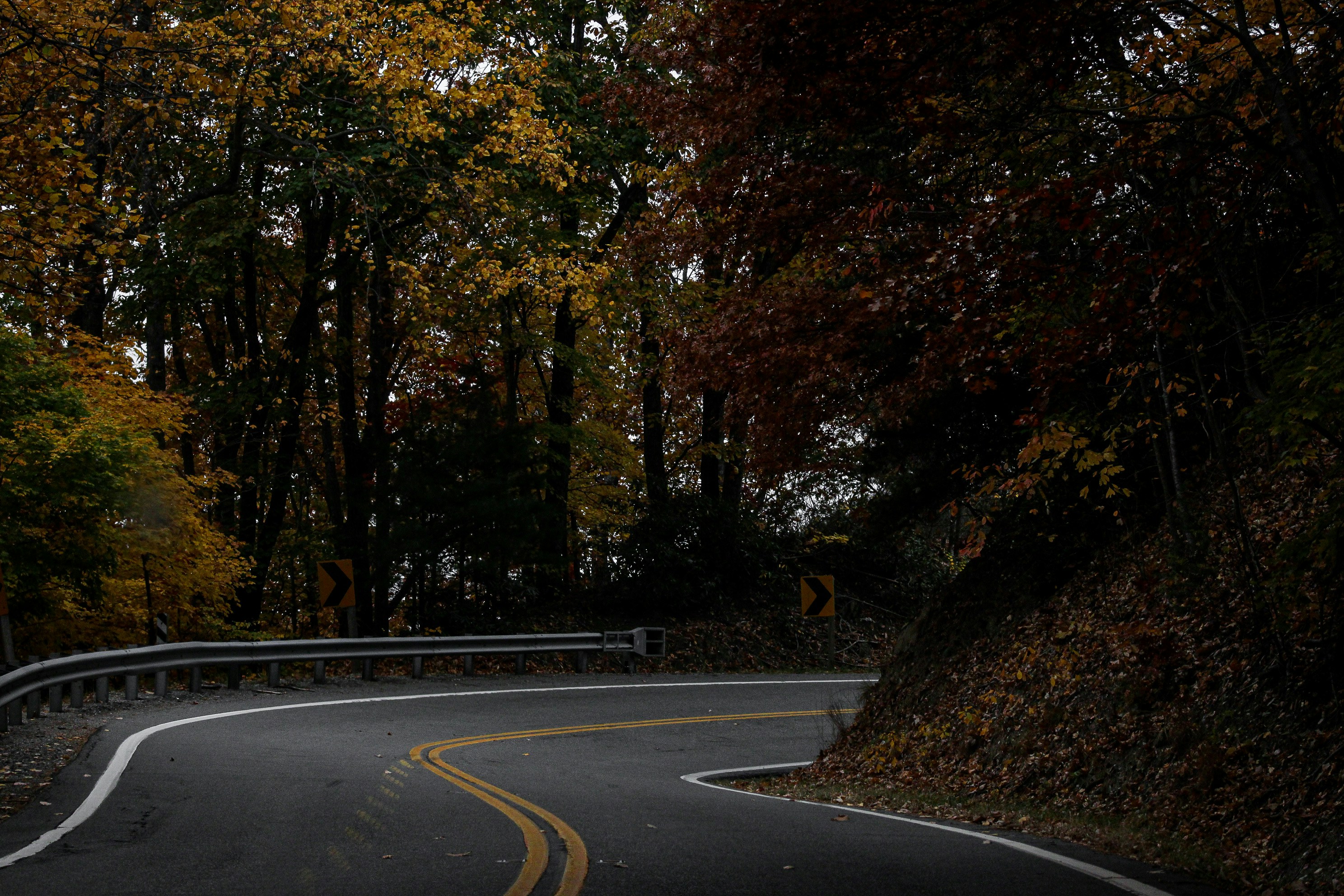 Photo by tajeandphotography