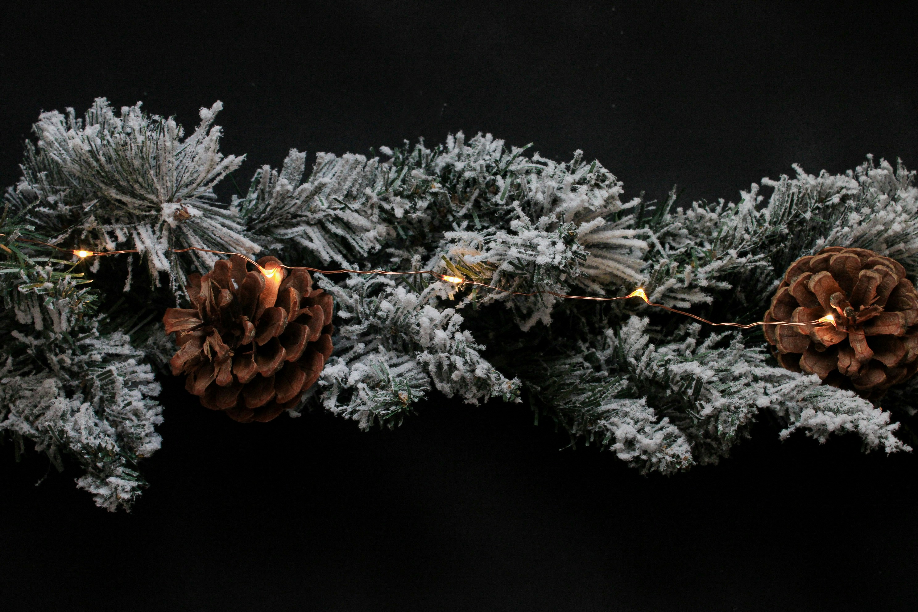 a group of flowers on a branch