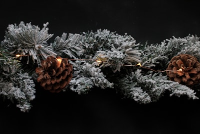 a group of flowers on a branch