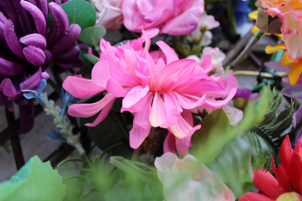 a close up of a flower