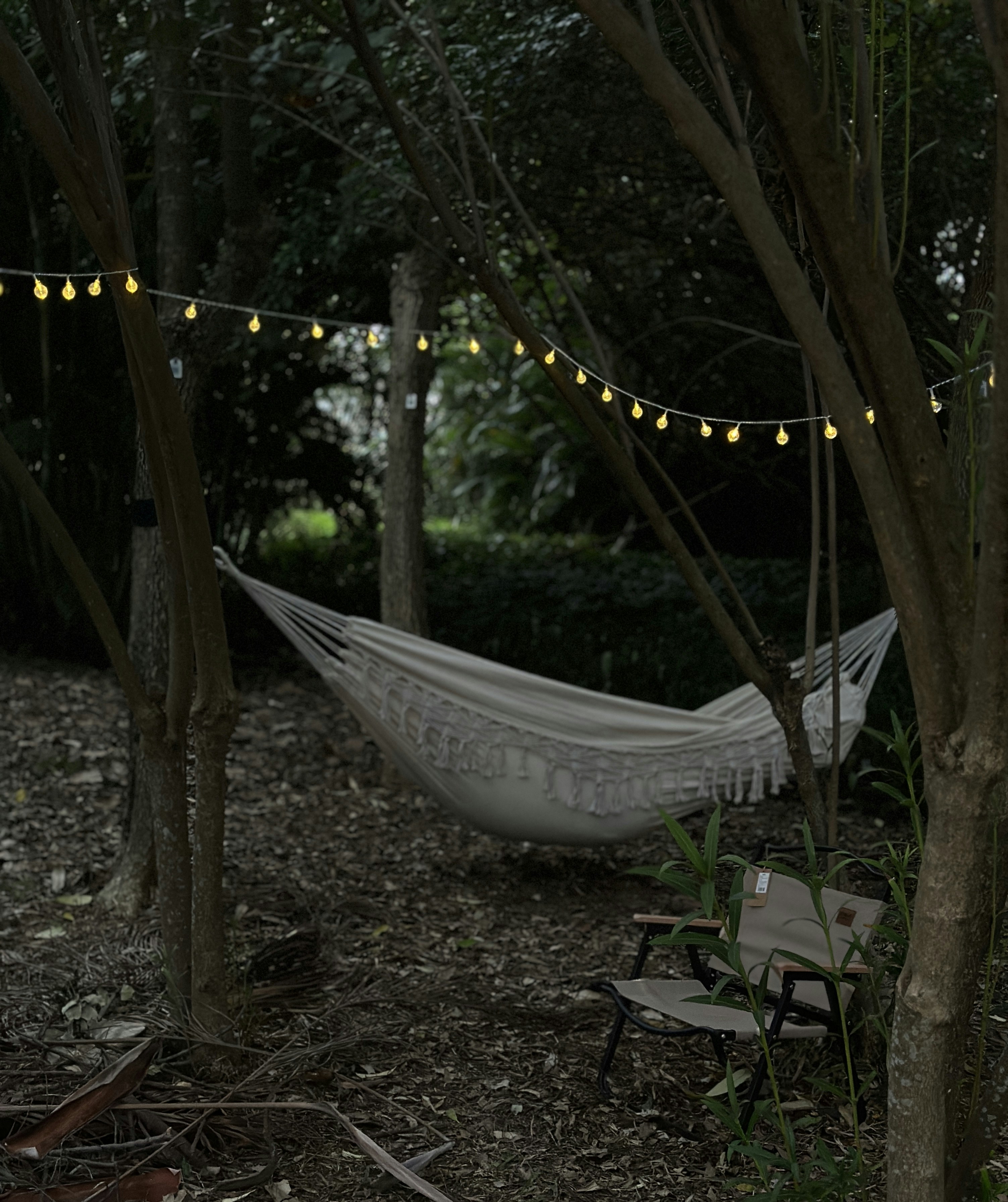 Hammock Chair