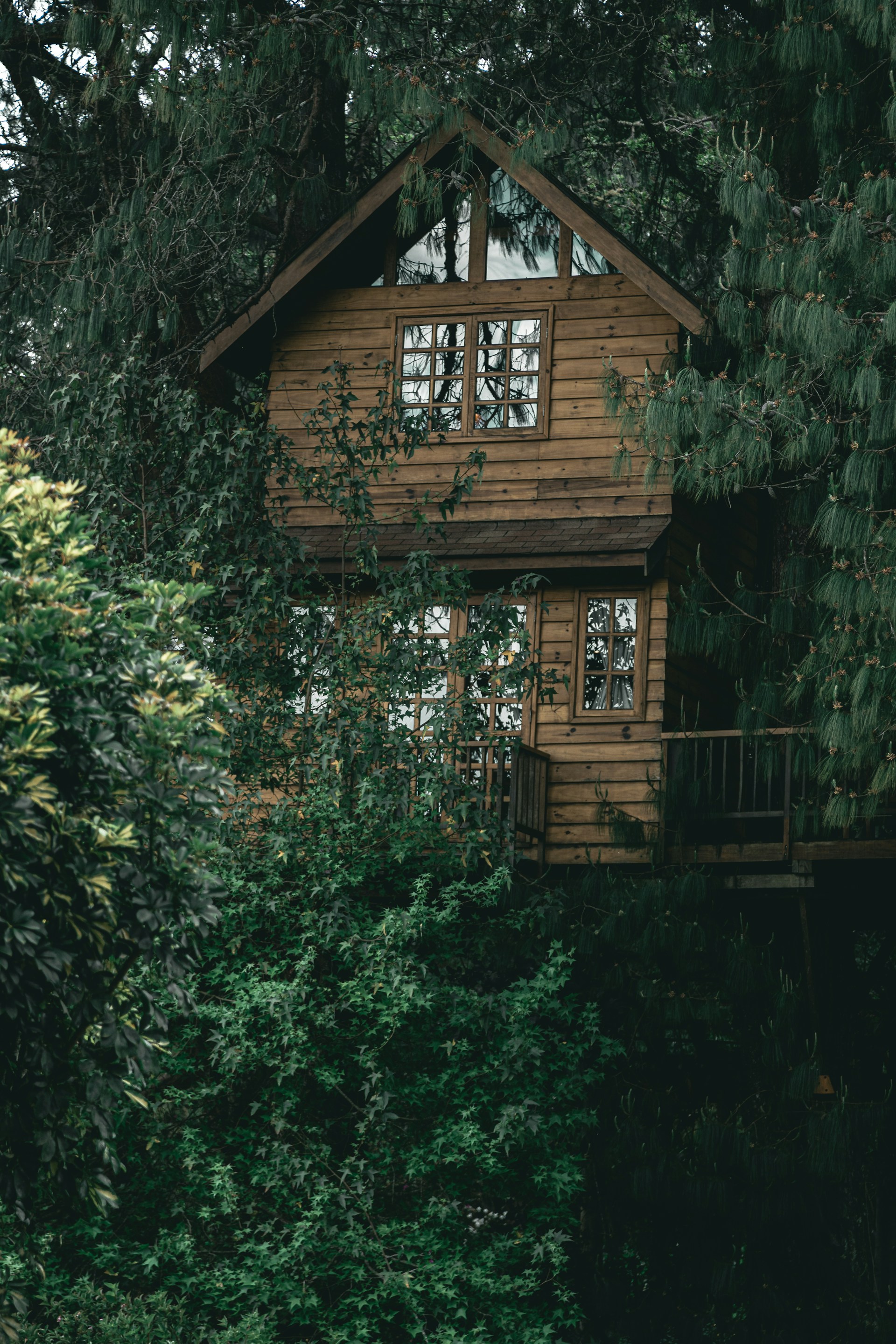 a tree house in the woods