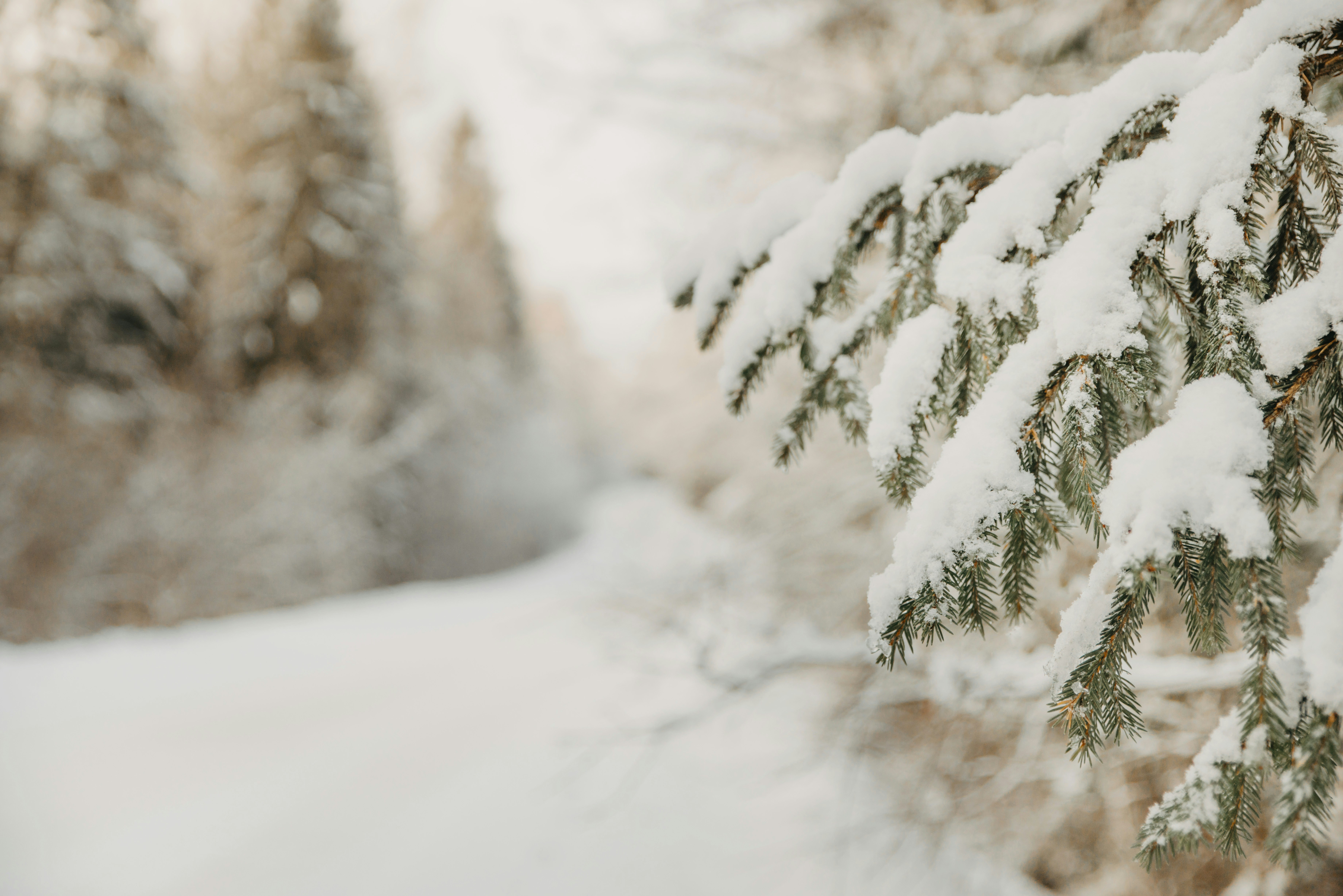 Photo by anitaaustvika