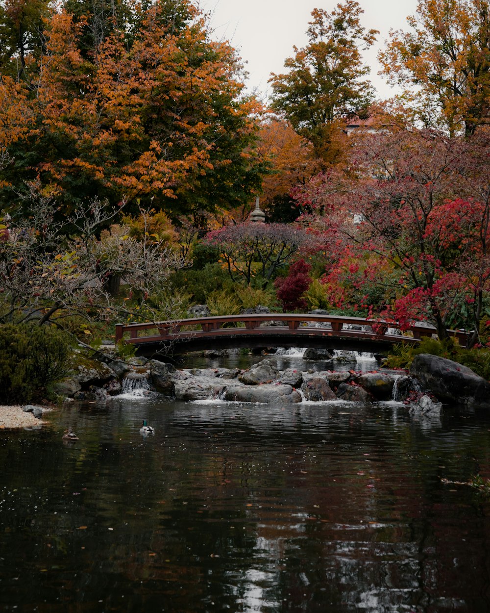 a bridge over a river