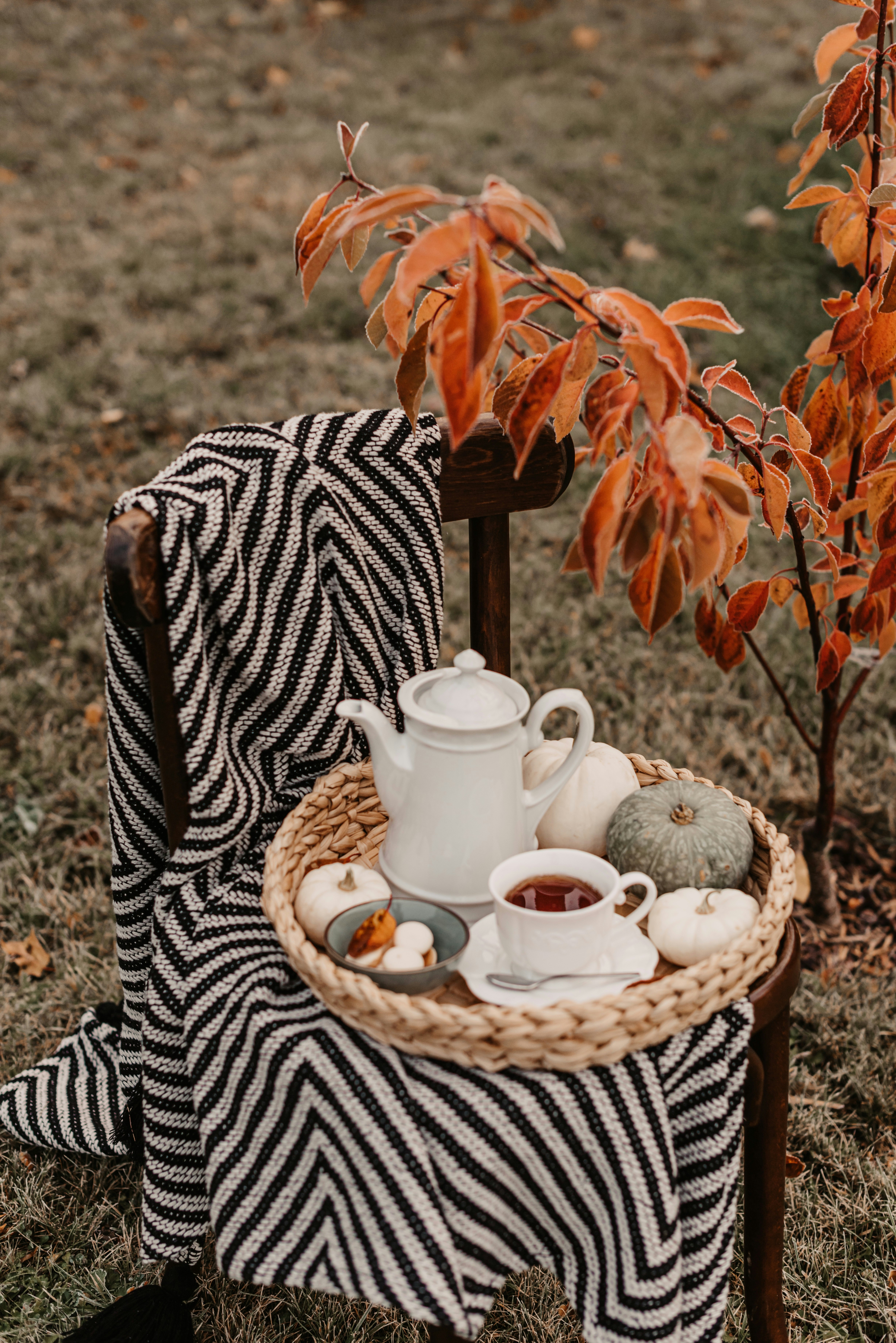 Photo by anitaaustvika