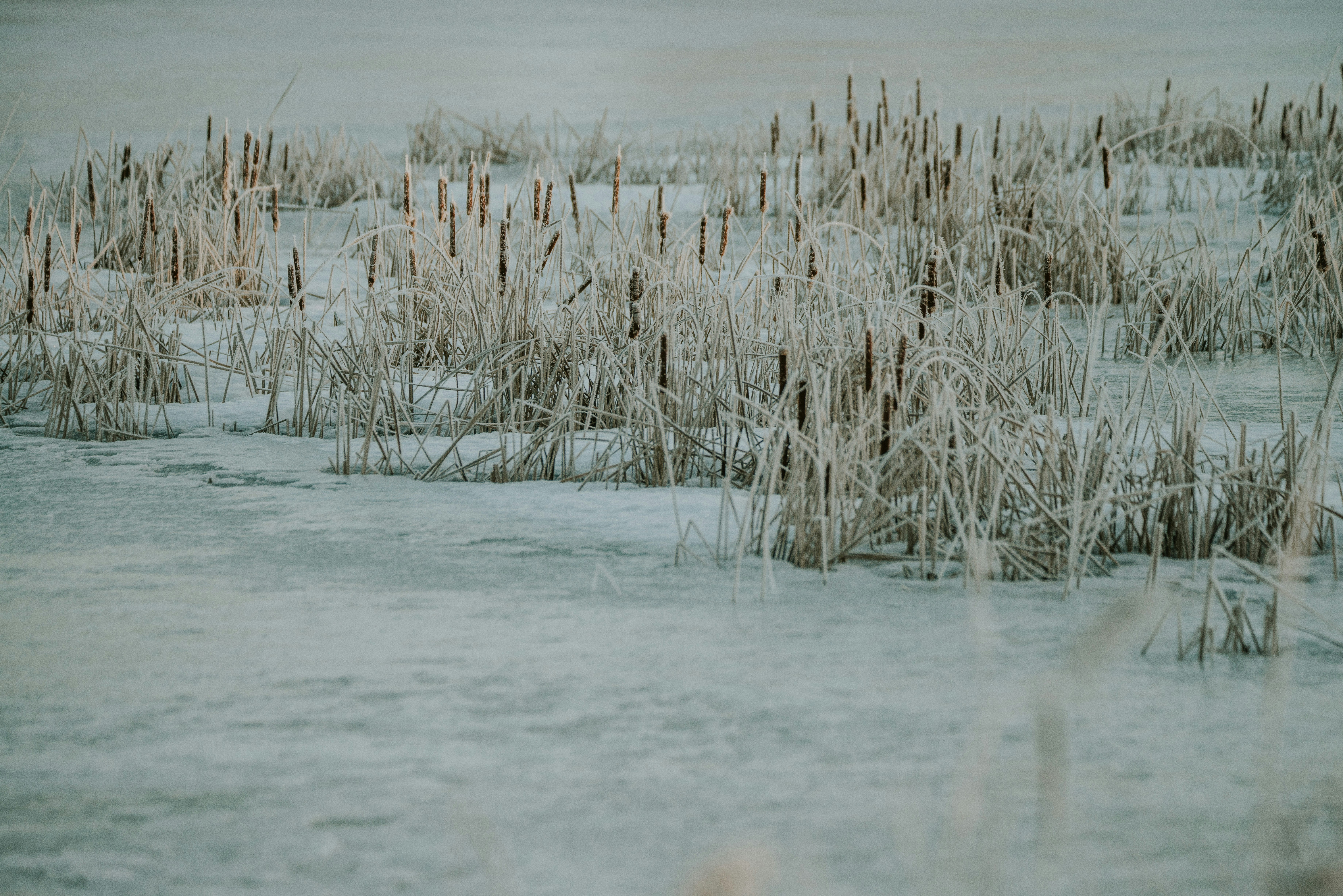 Photo by anitaaustvika