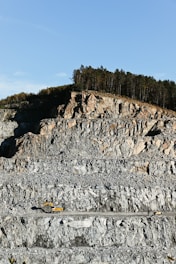 a large rocky cliff with trees