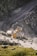 A large excavator is loading rocks into a dump truck on a rugged, rocky quarry terrain. The scene is set against a backdrop of steep, rocky walls and a dirt road, indicating an active mining or construction site.
