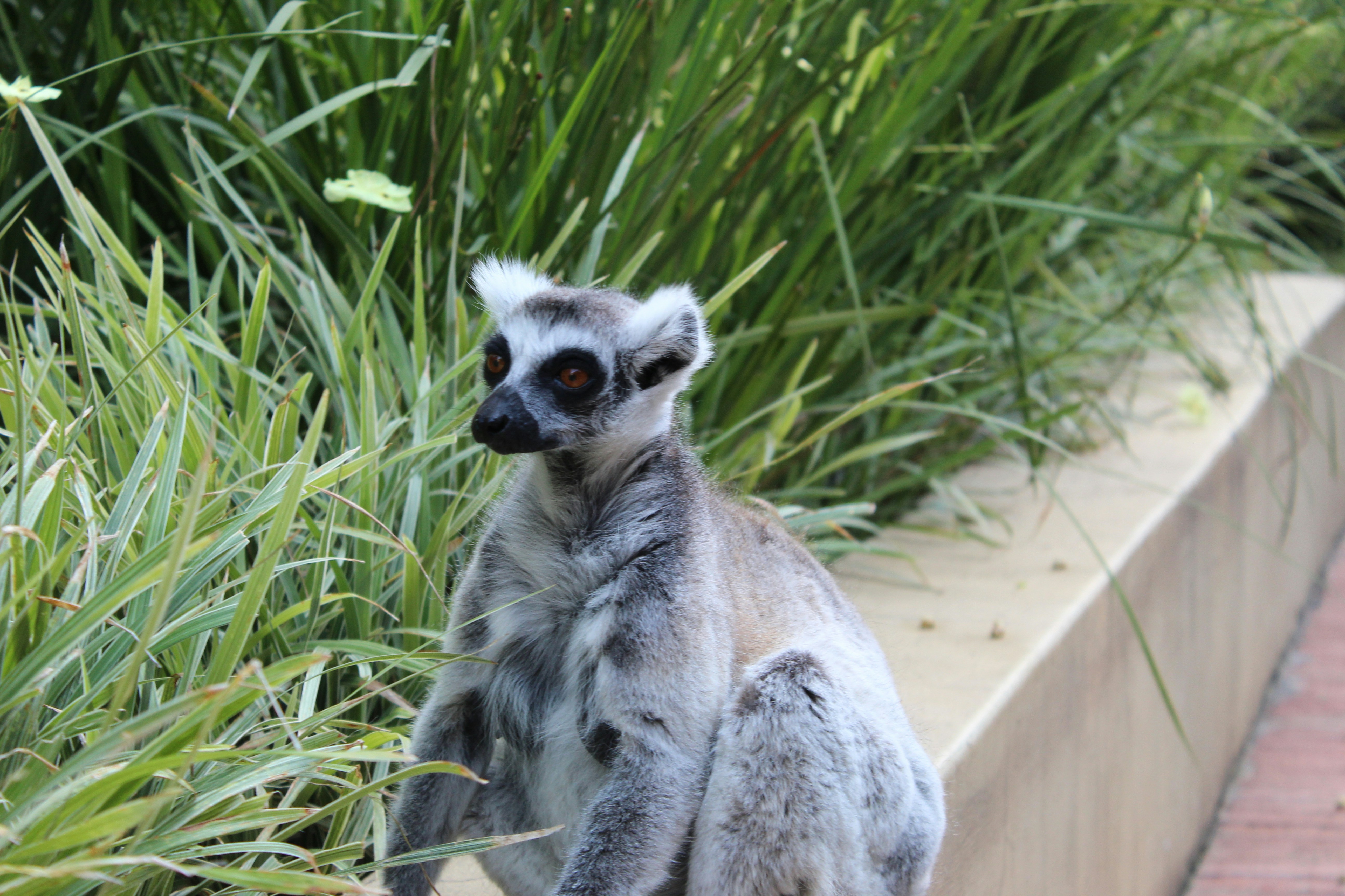 Photo by dynamicshot