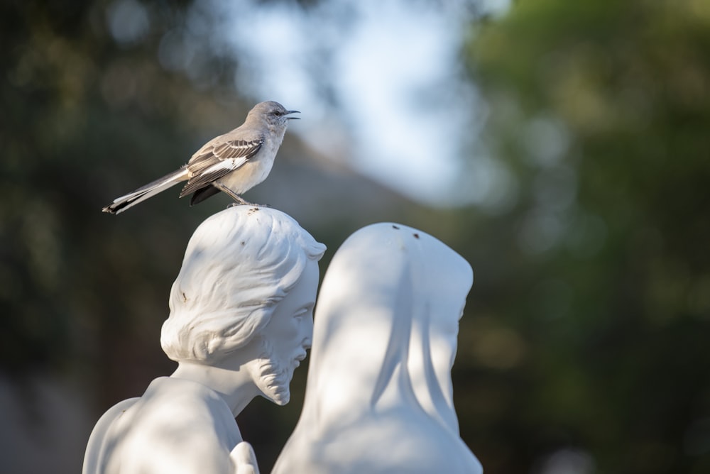 a bird on a statue