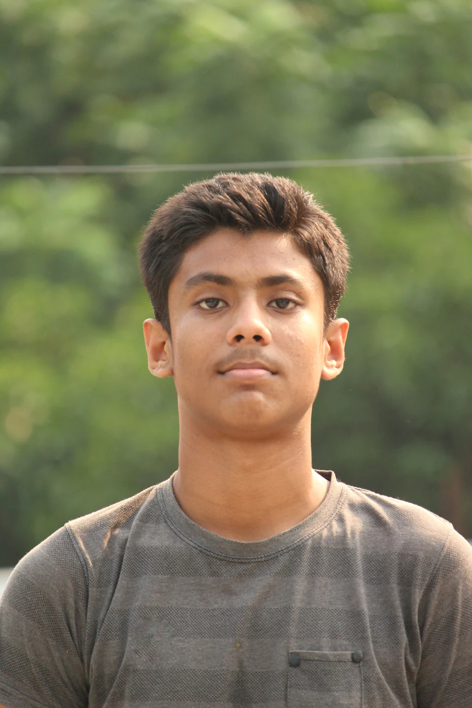 The image shows a young man with short hair and dark eyes, wearing a gray striped shirt. He is looking directly at the camera with an expression of concentration or thoughtfulness on his face. The background features trees and bushes, suggesting that he might be in a park or natural setting.
