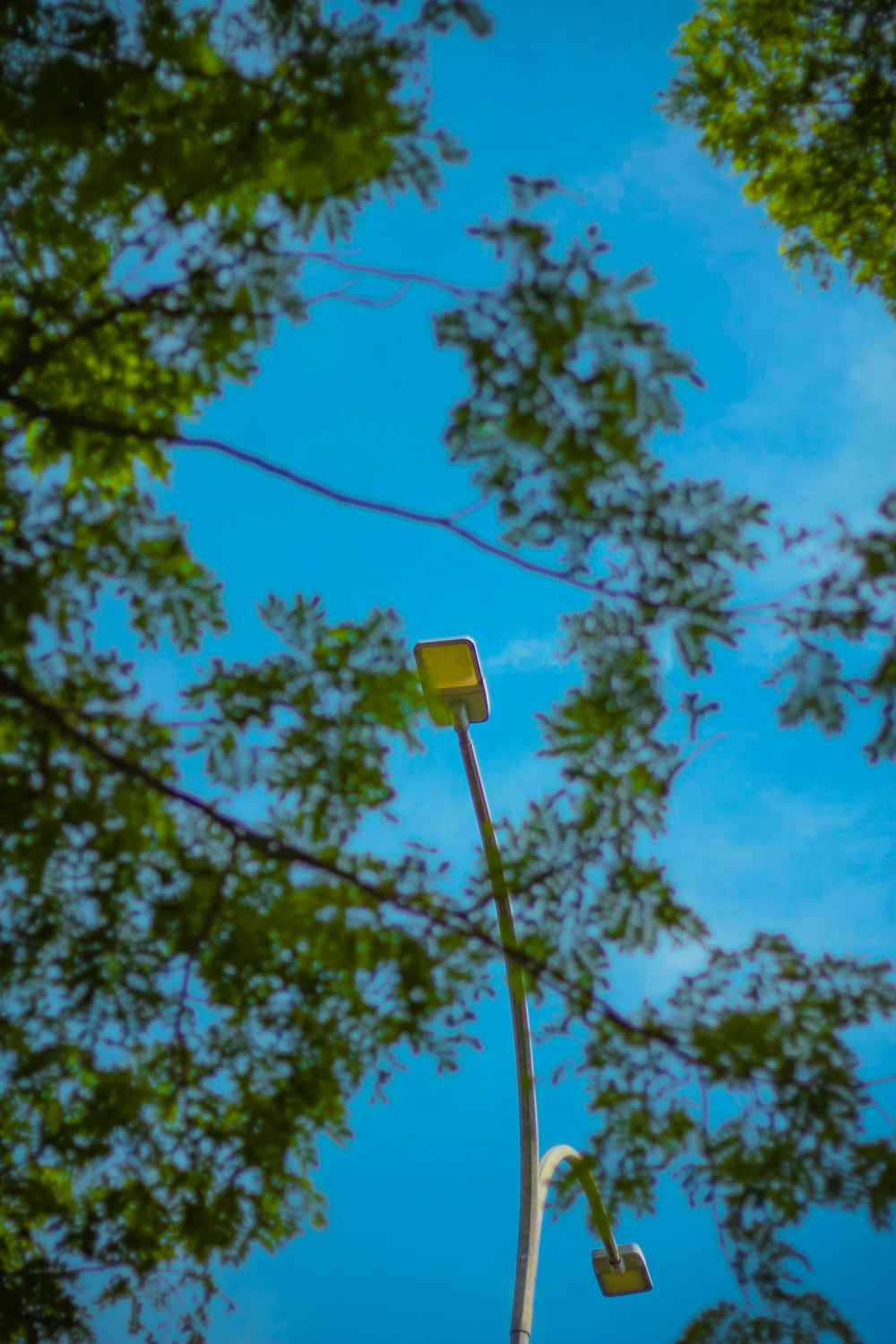 a street light with trees in the background