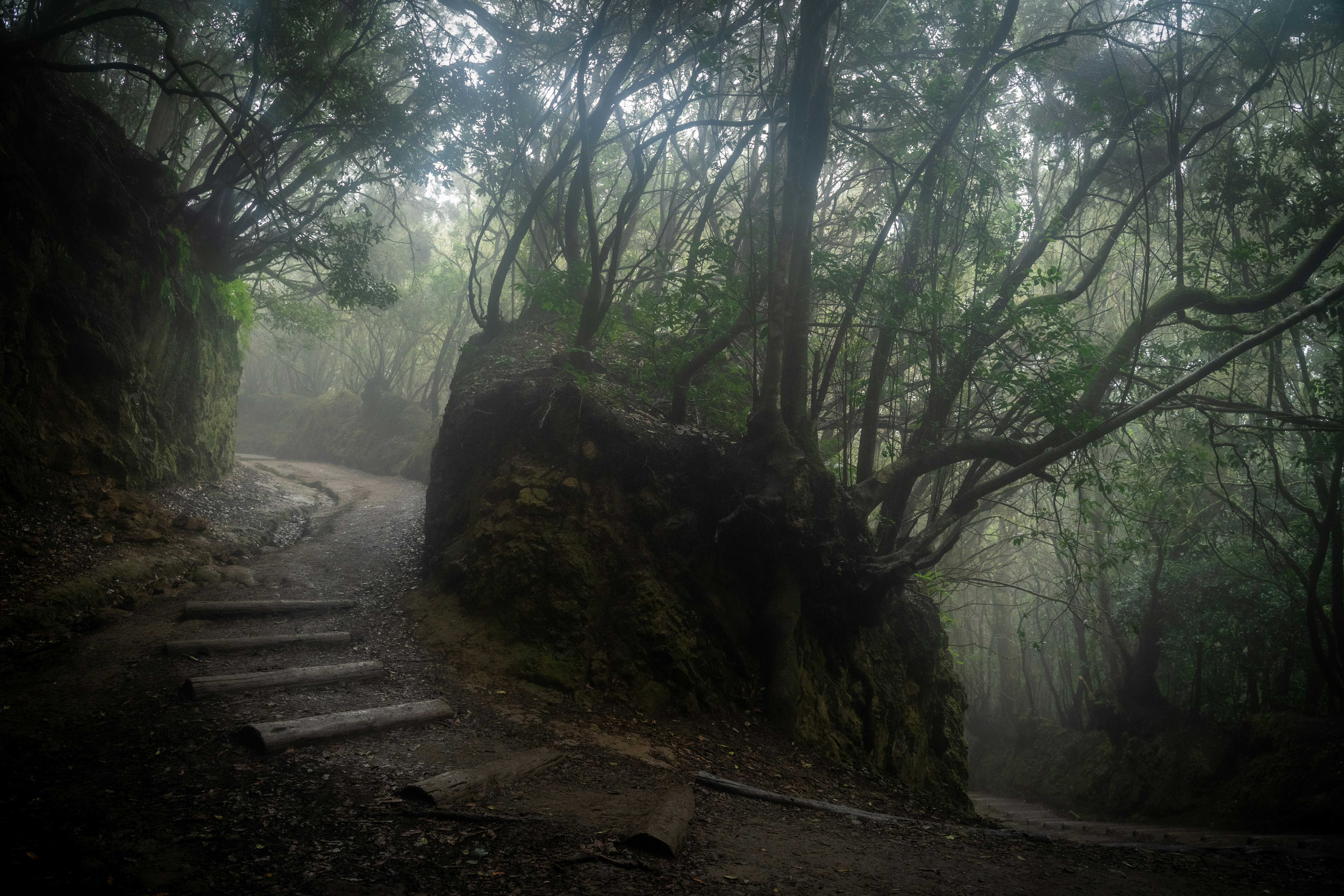 Photo by artemioz