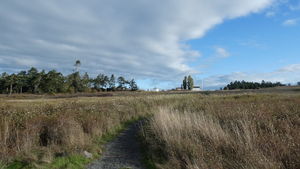 a dirt road through a field