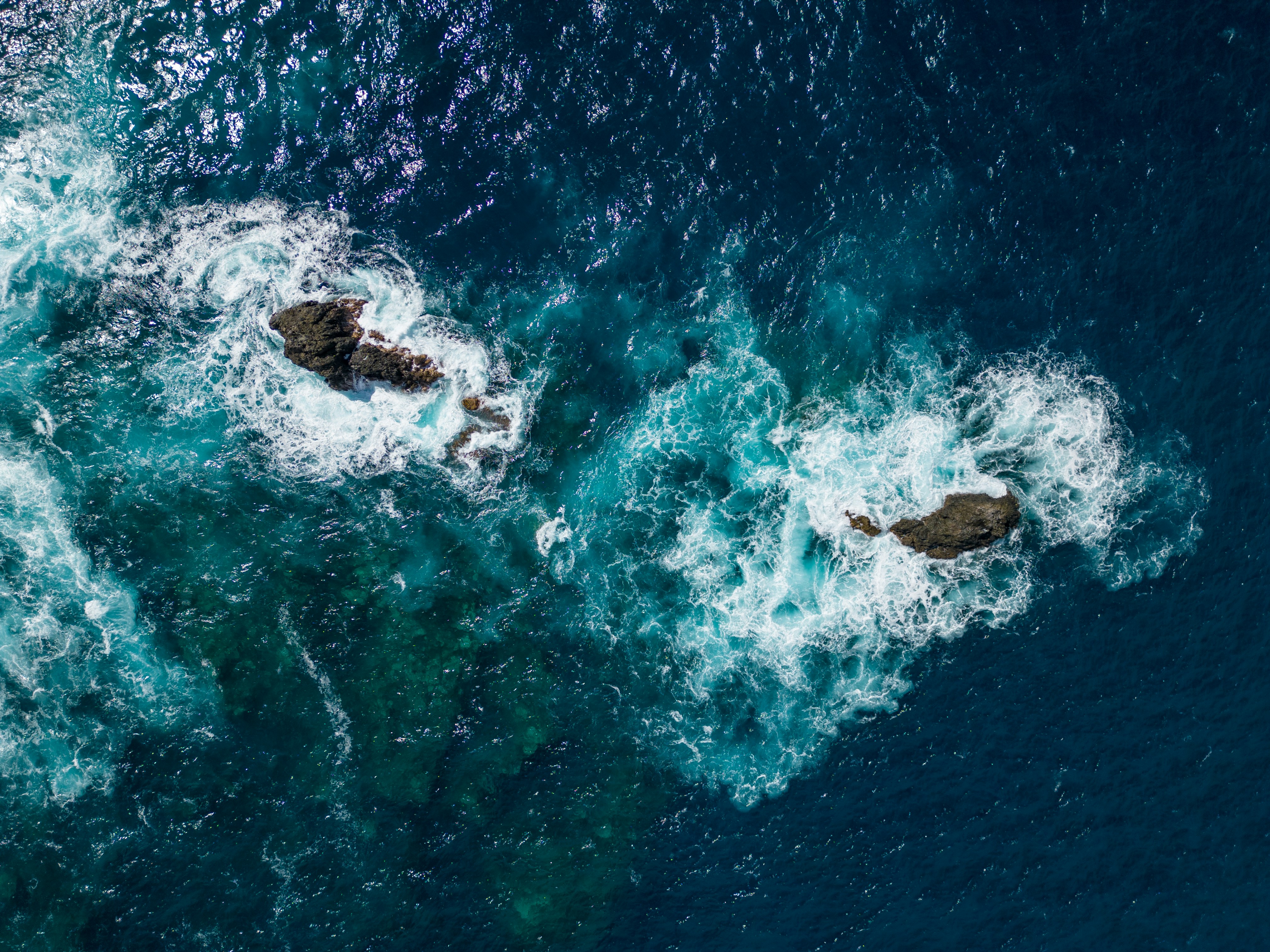 Image of Navy SEALs displaying unity and camaraderie