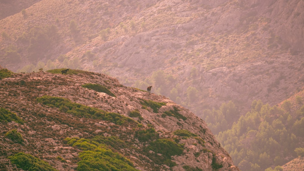 a person walking on a hill