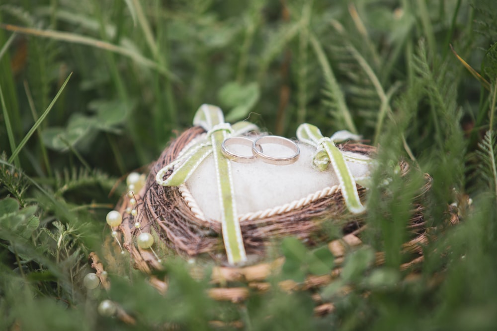 a bird nest with a couple of birds in it