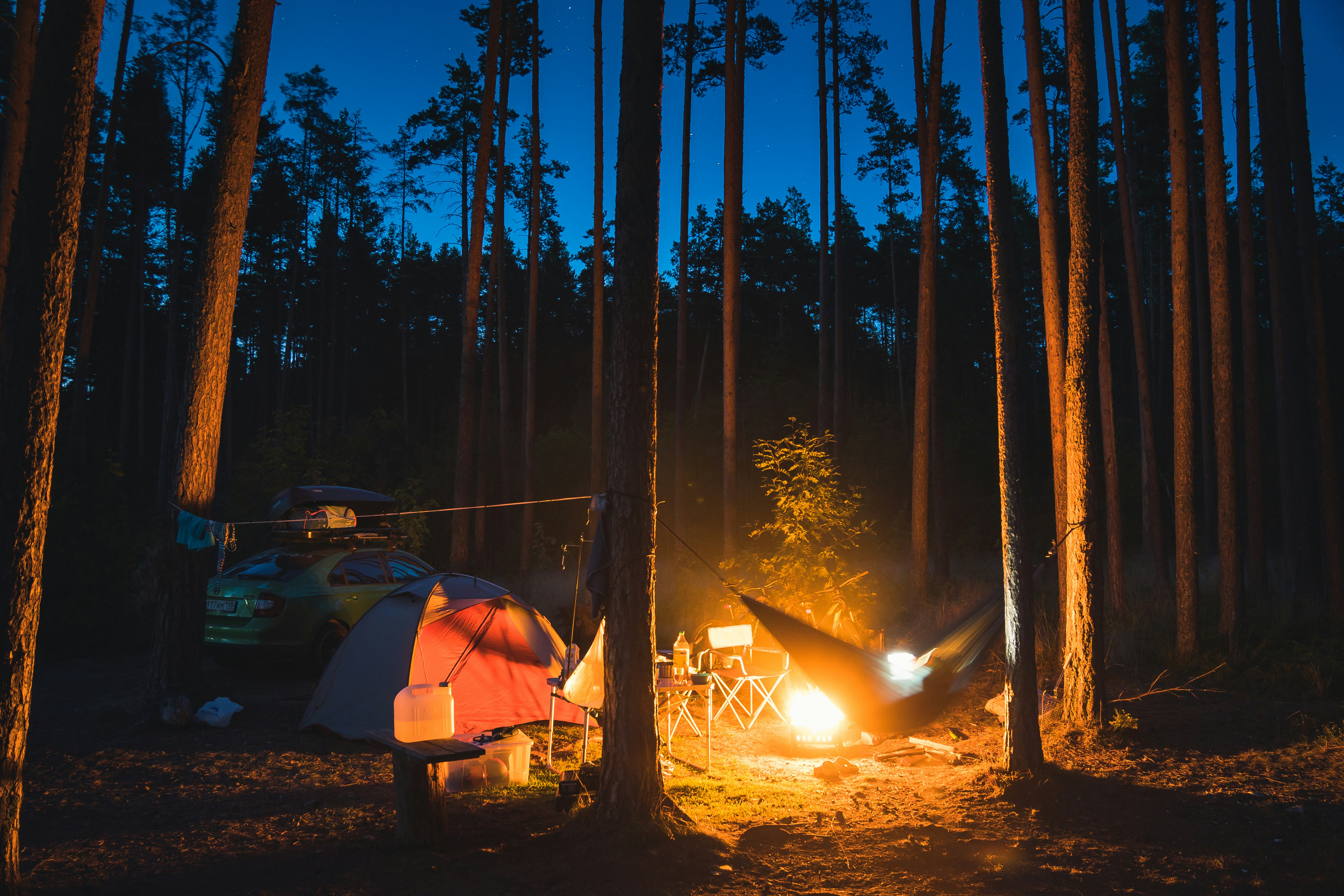 Photo by temurbegiev