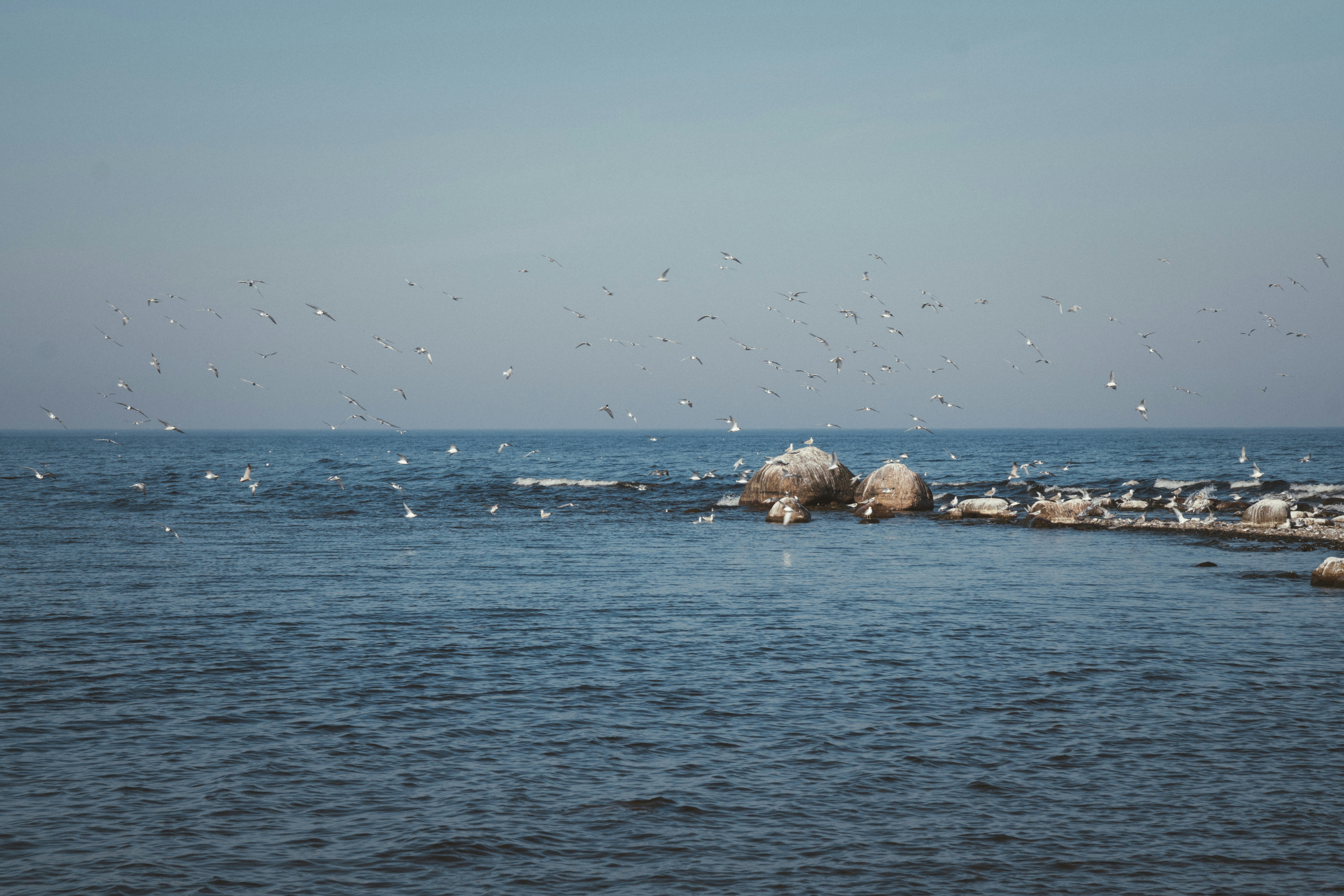 Photo by temurbegiev