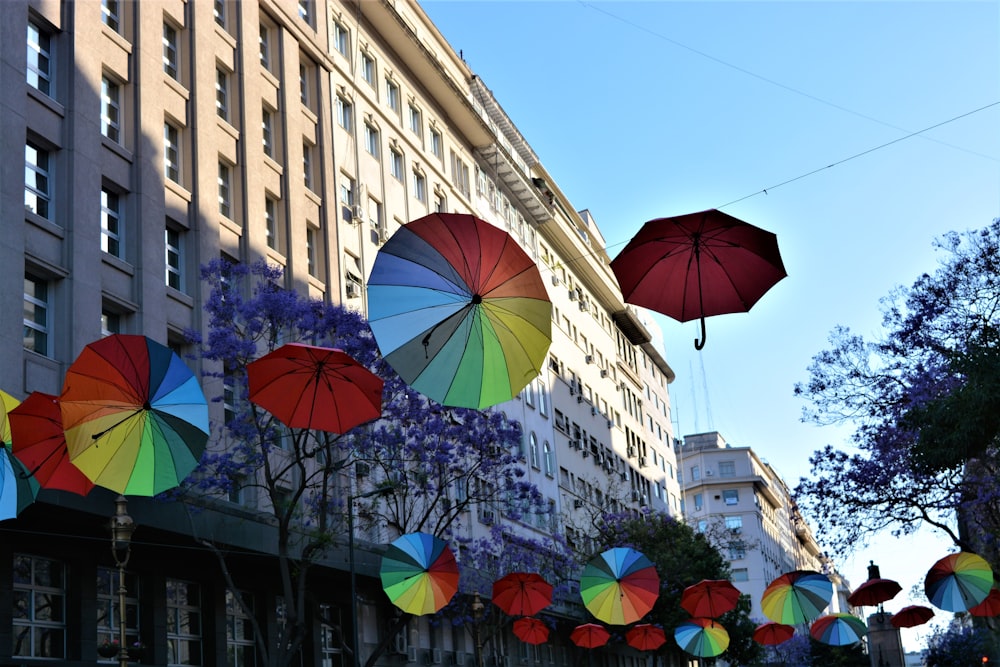 un gruppo di ombrelli colorati