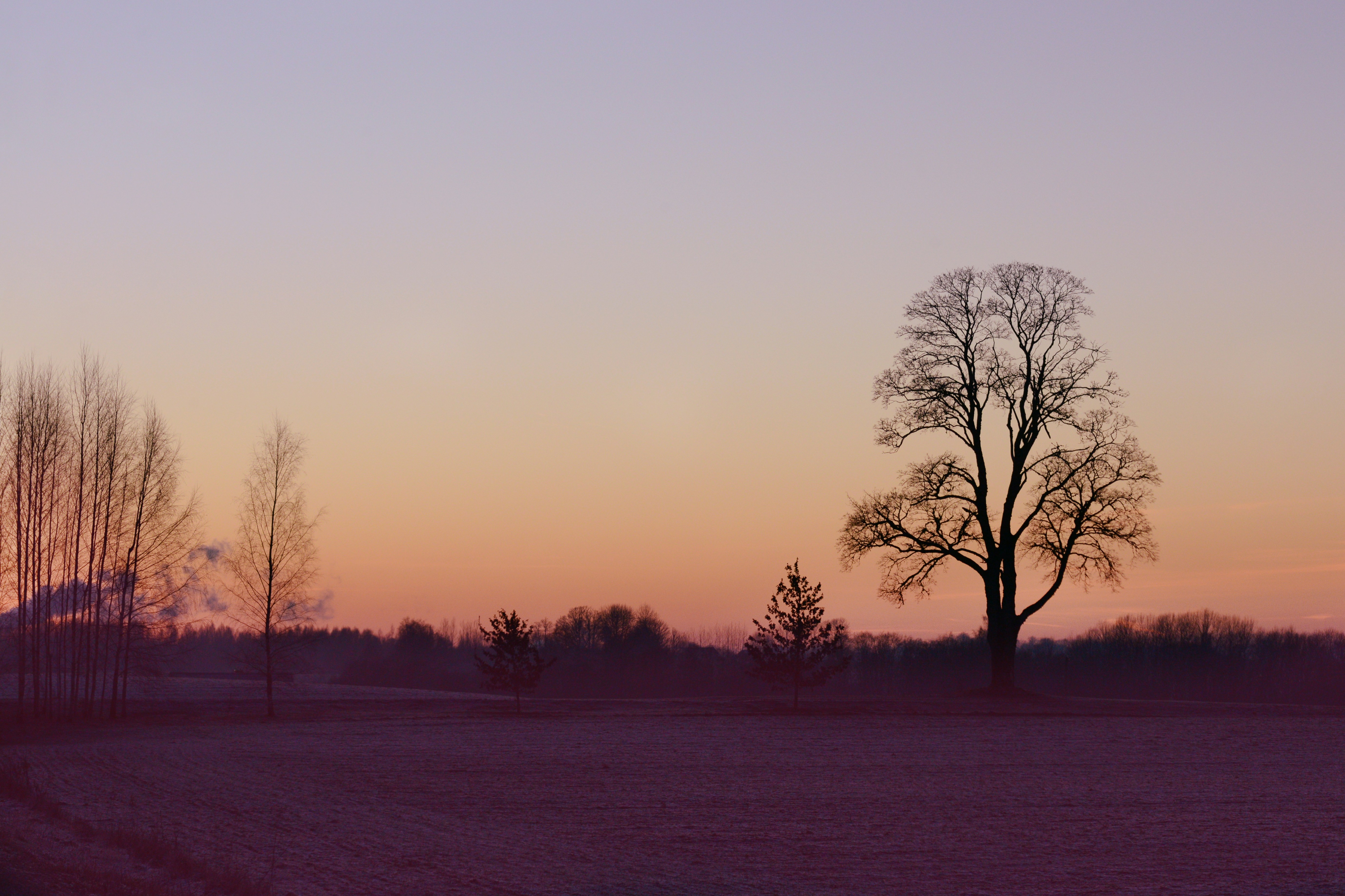 Photo by anitaaustvika