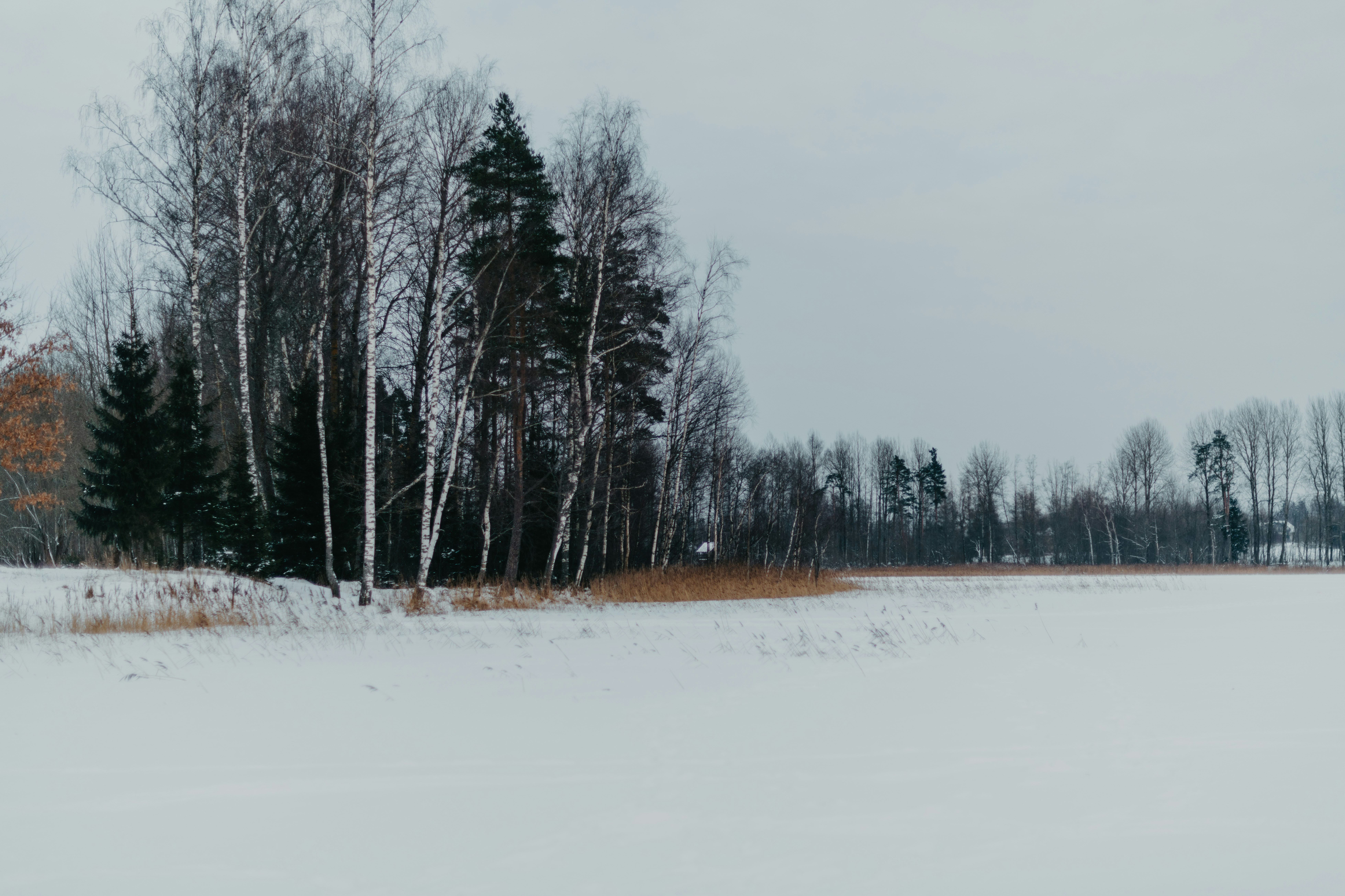 Photo by anitaaustvika