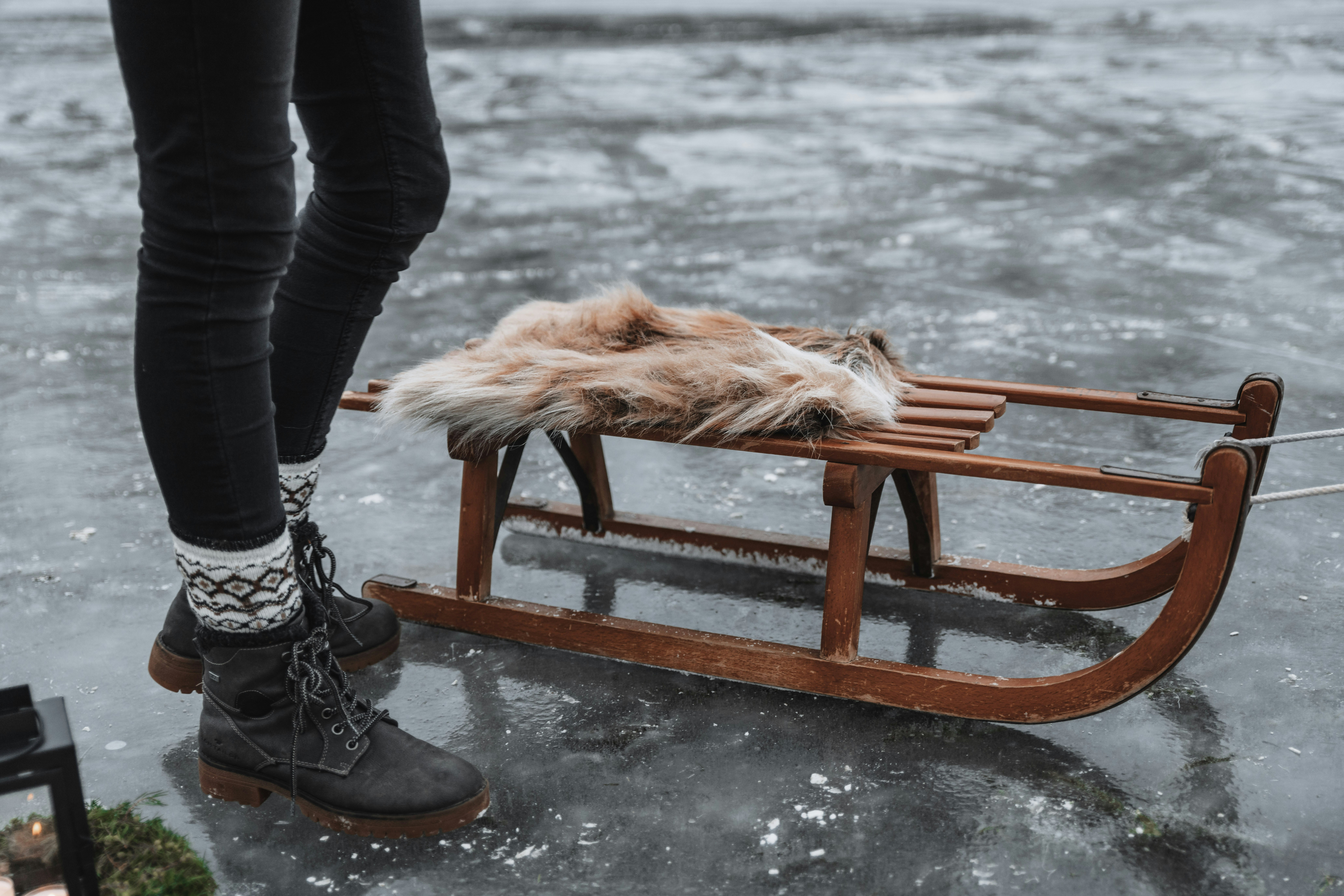 a dog lying on a bench
