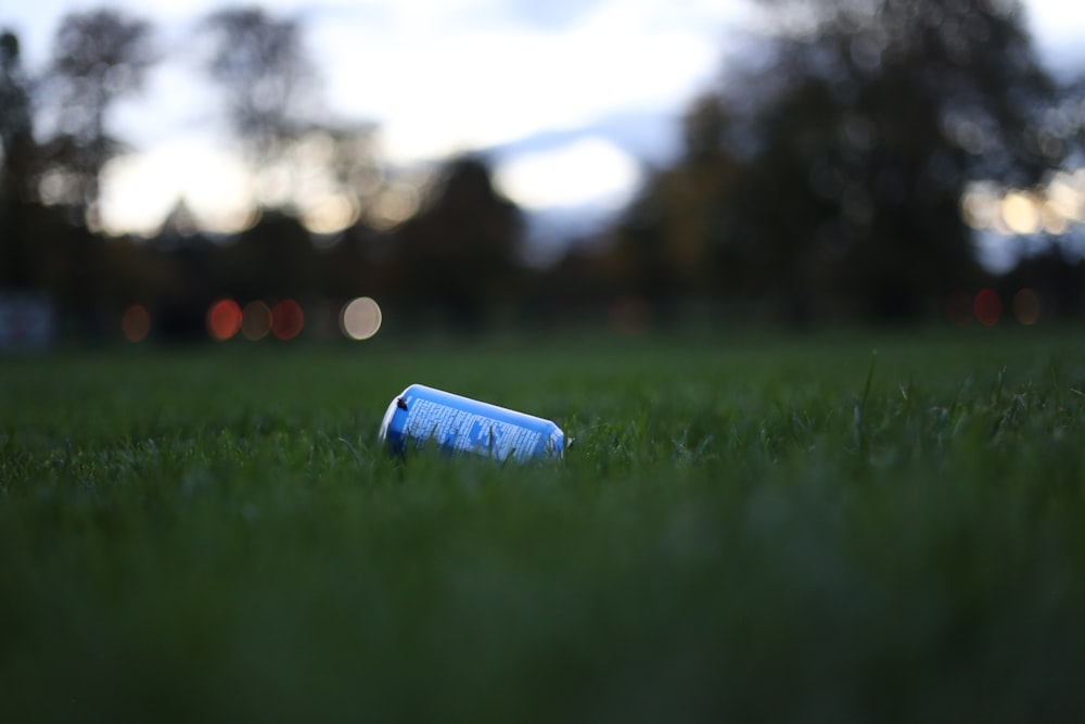 a blue plastic bottle in a grassy field