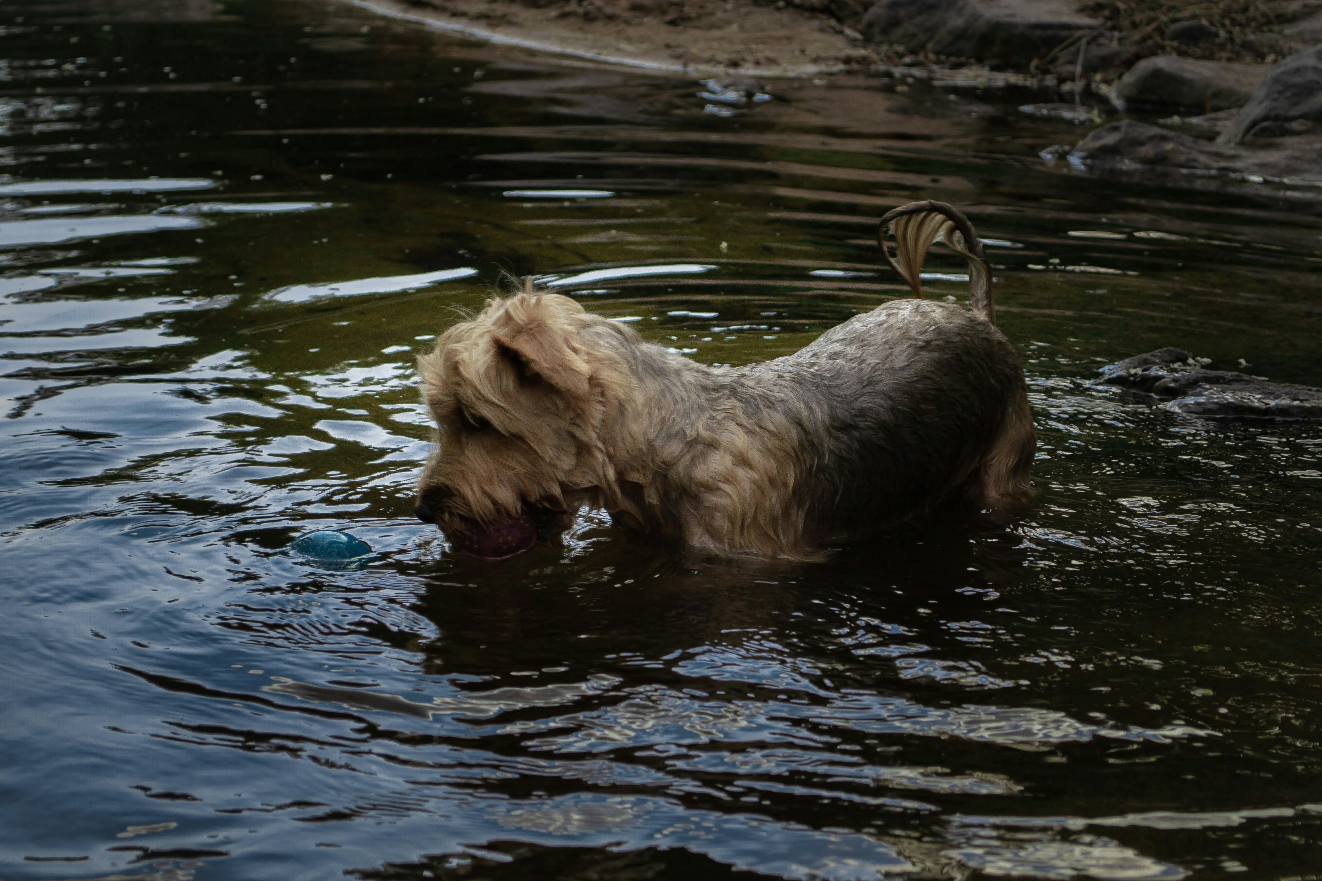 Photo by diseniatica