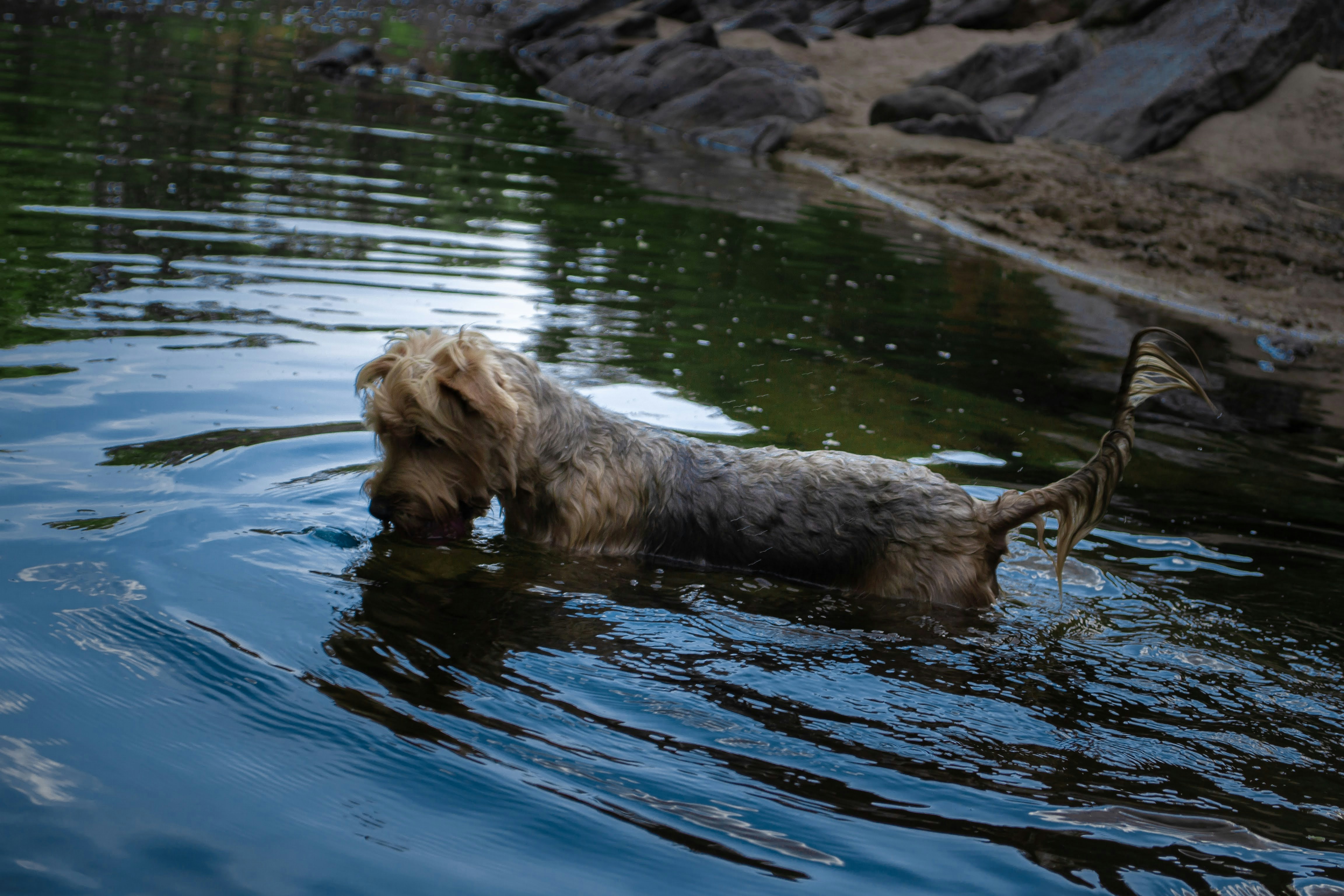 Photo by diseniatica