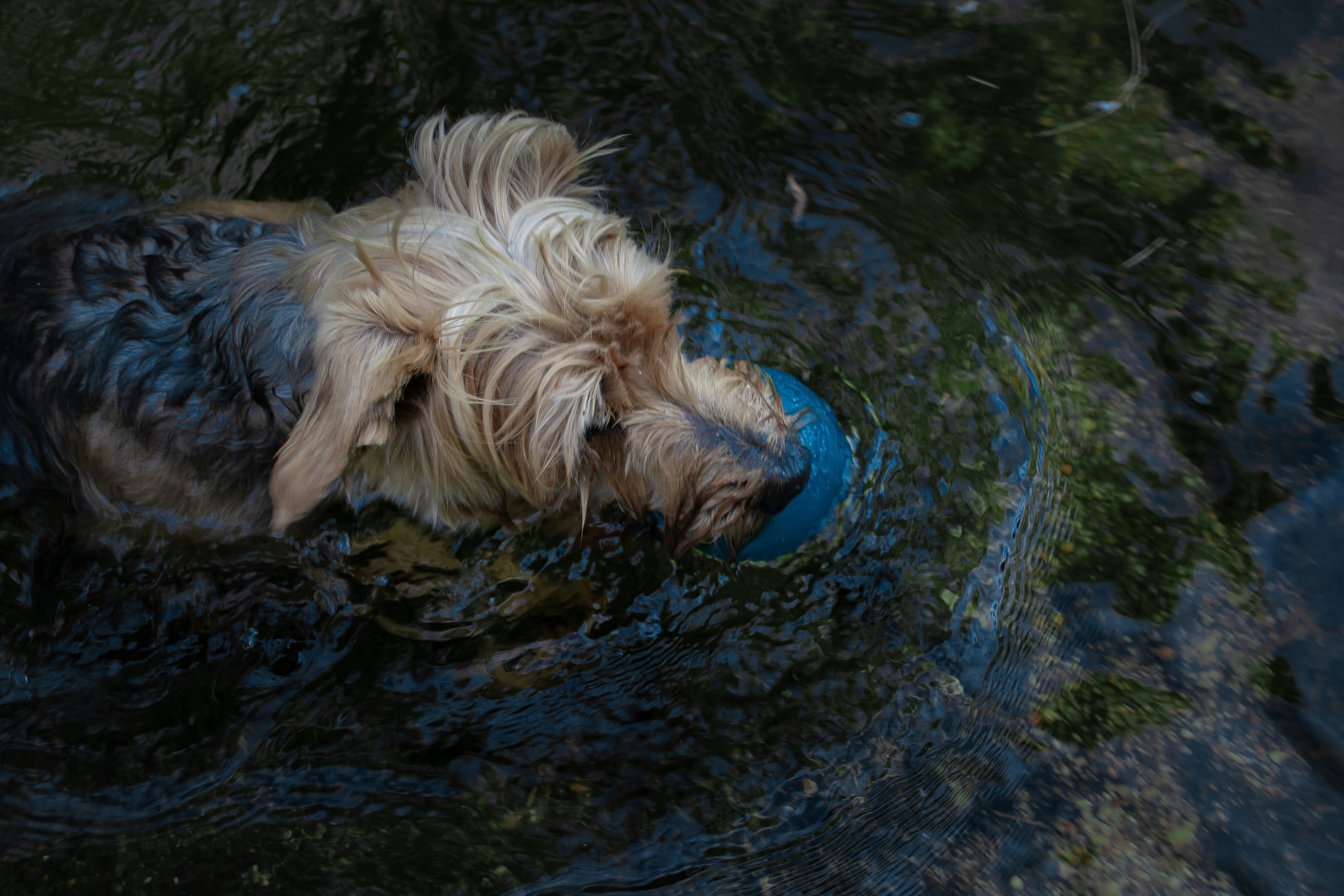 Photo by diseniatica