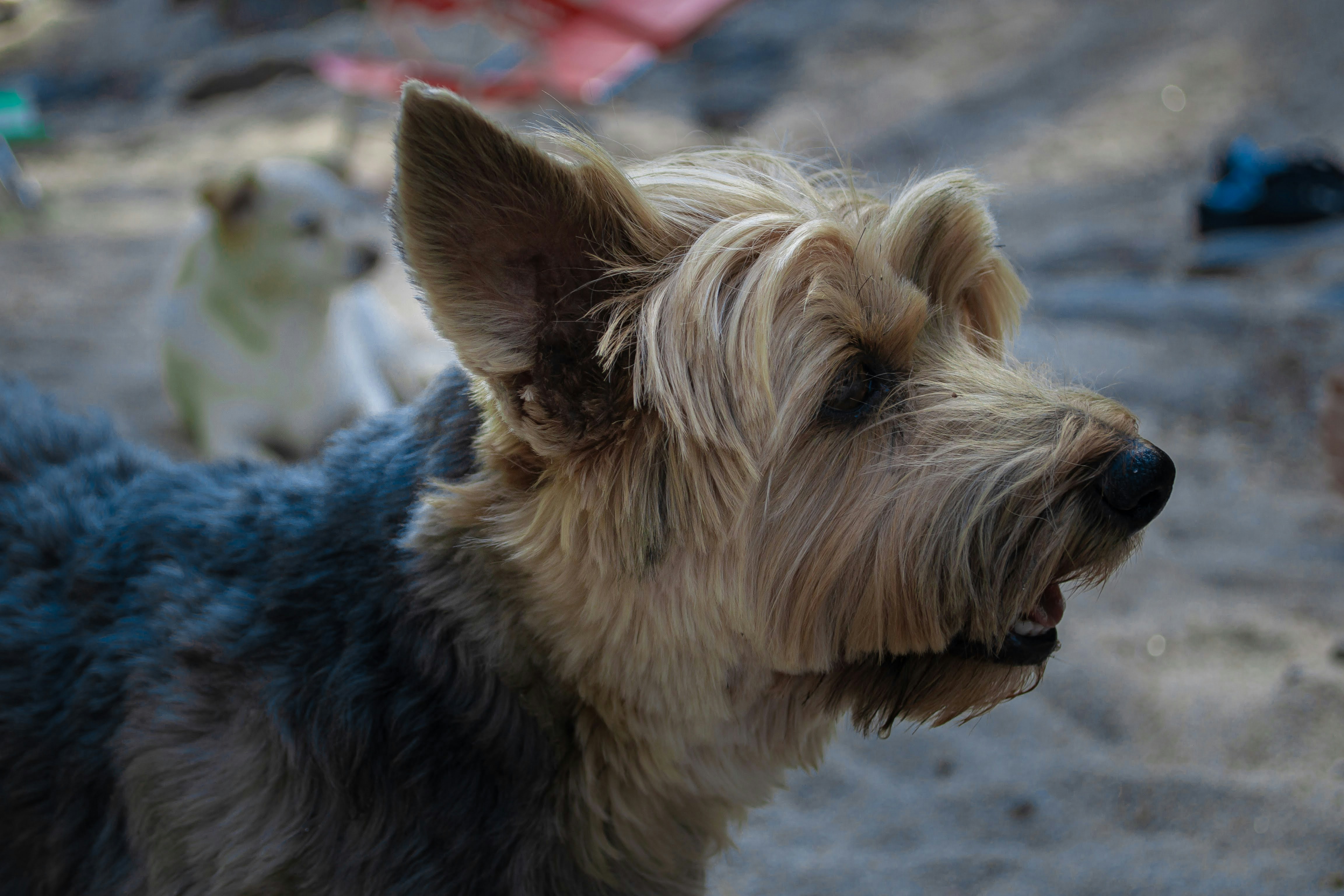 Photo by diseniatica