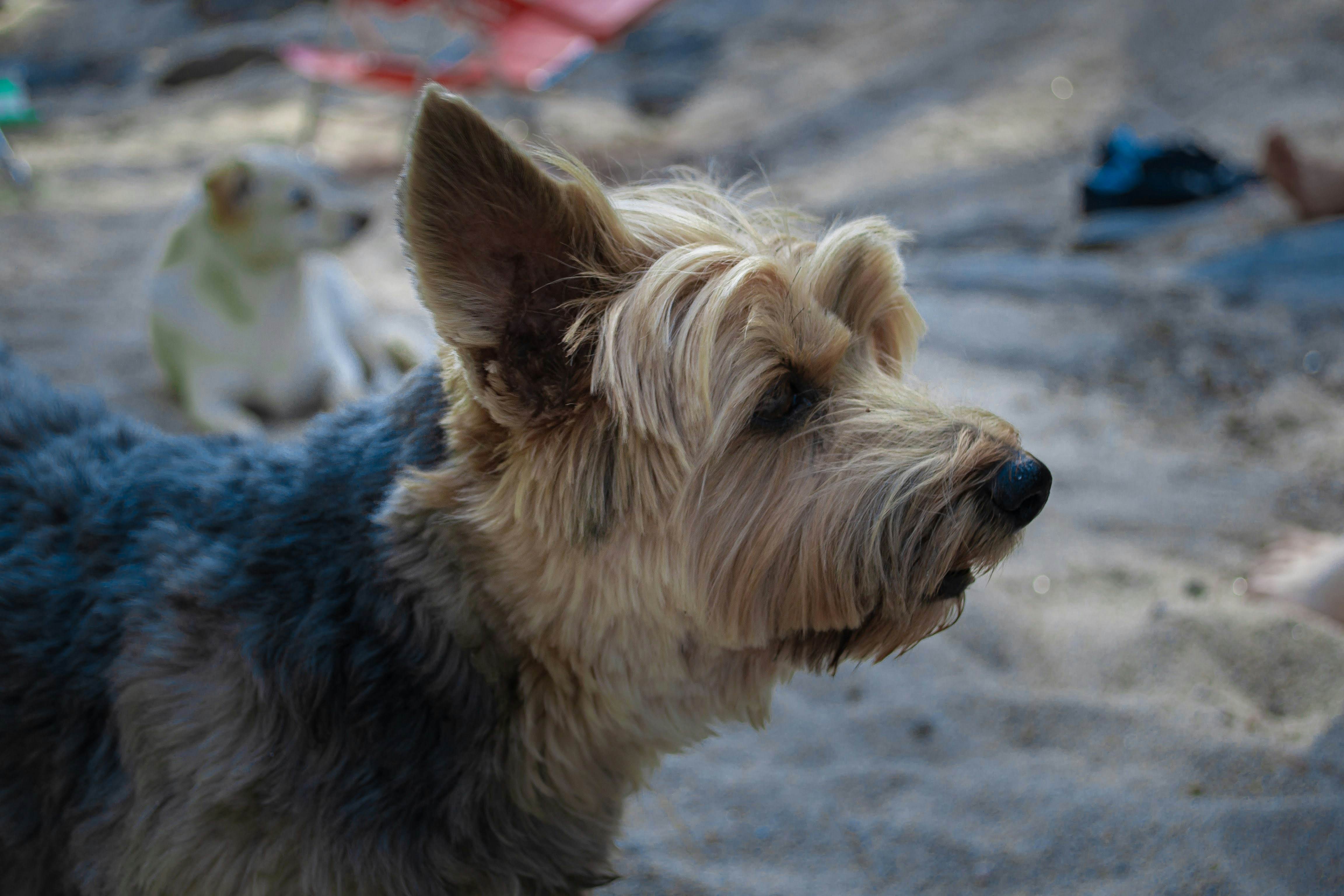 Photo by diseniatica