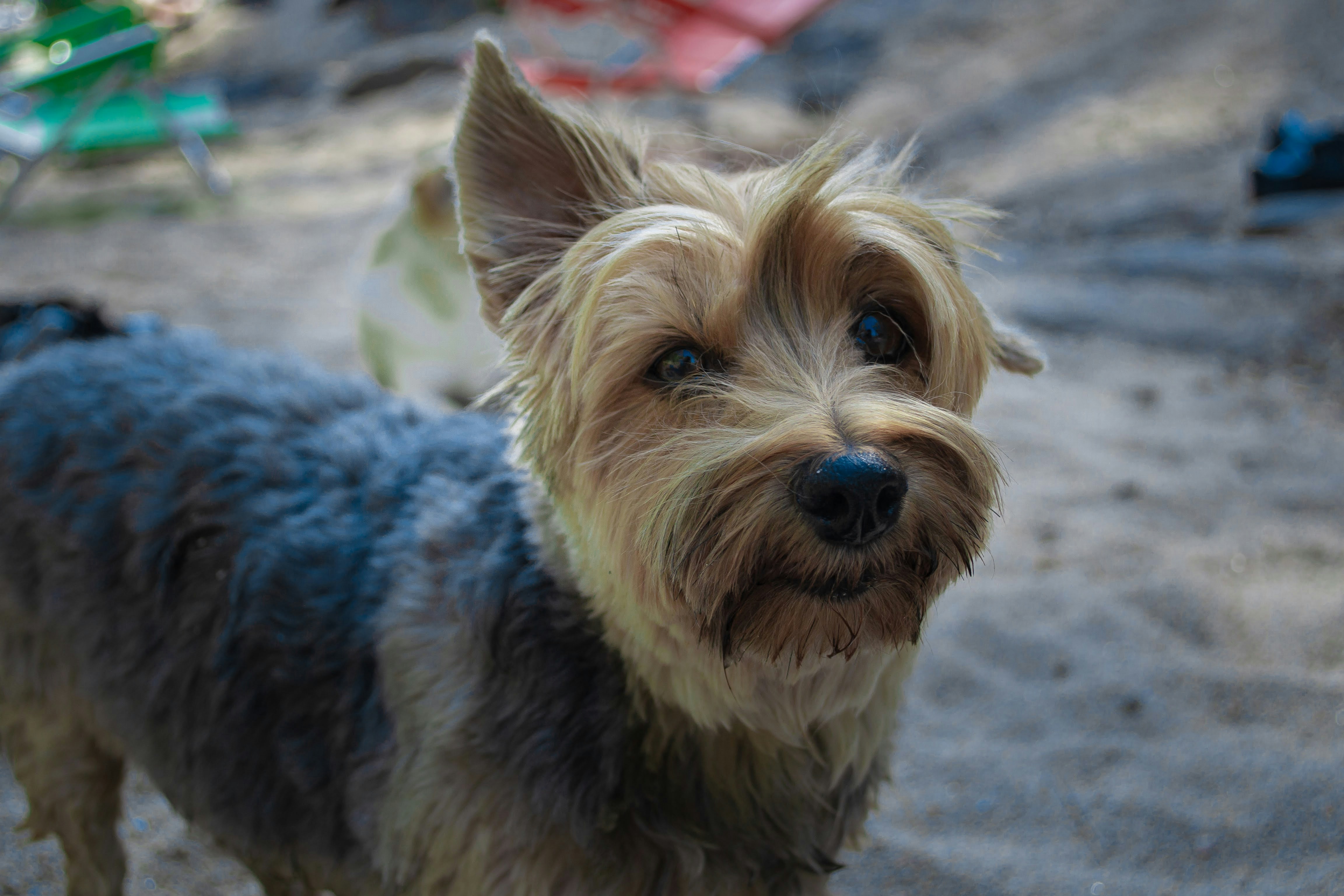 Photo by diseniatica