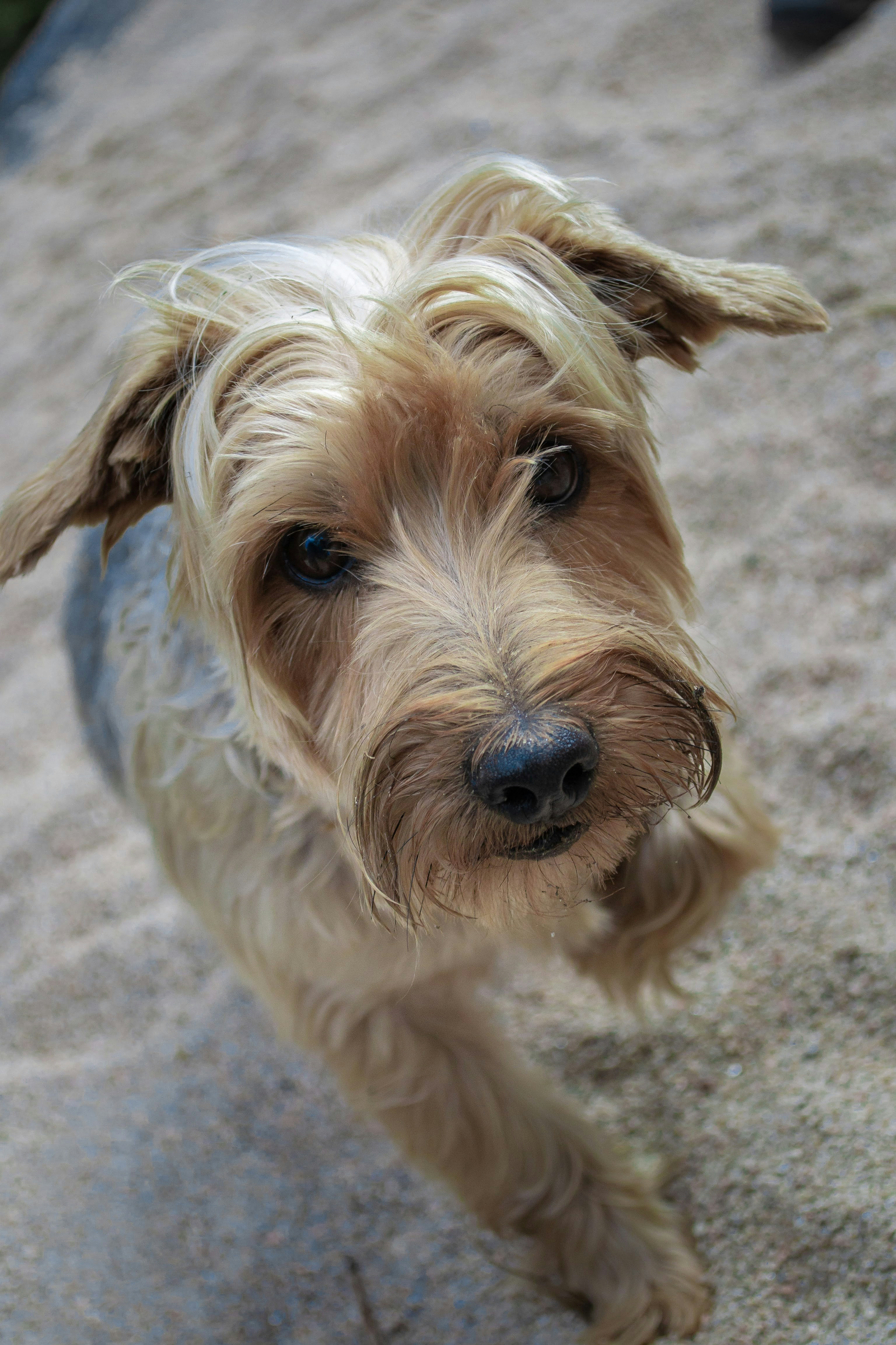 Photo by diseniatica