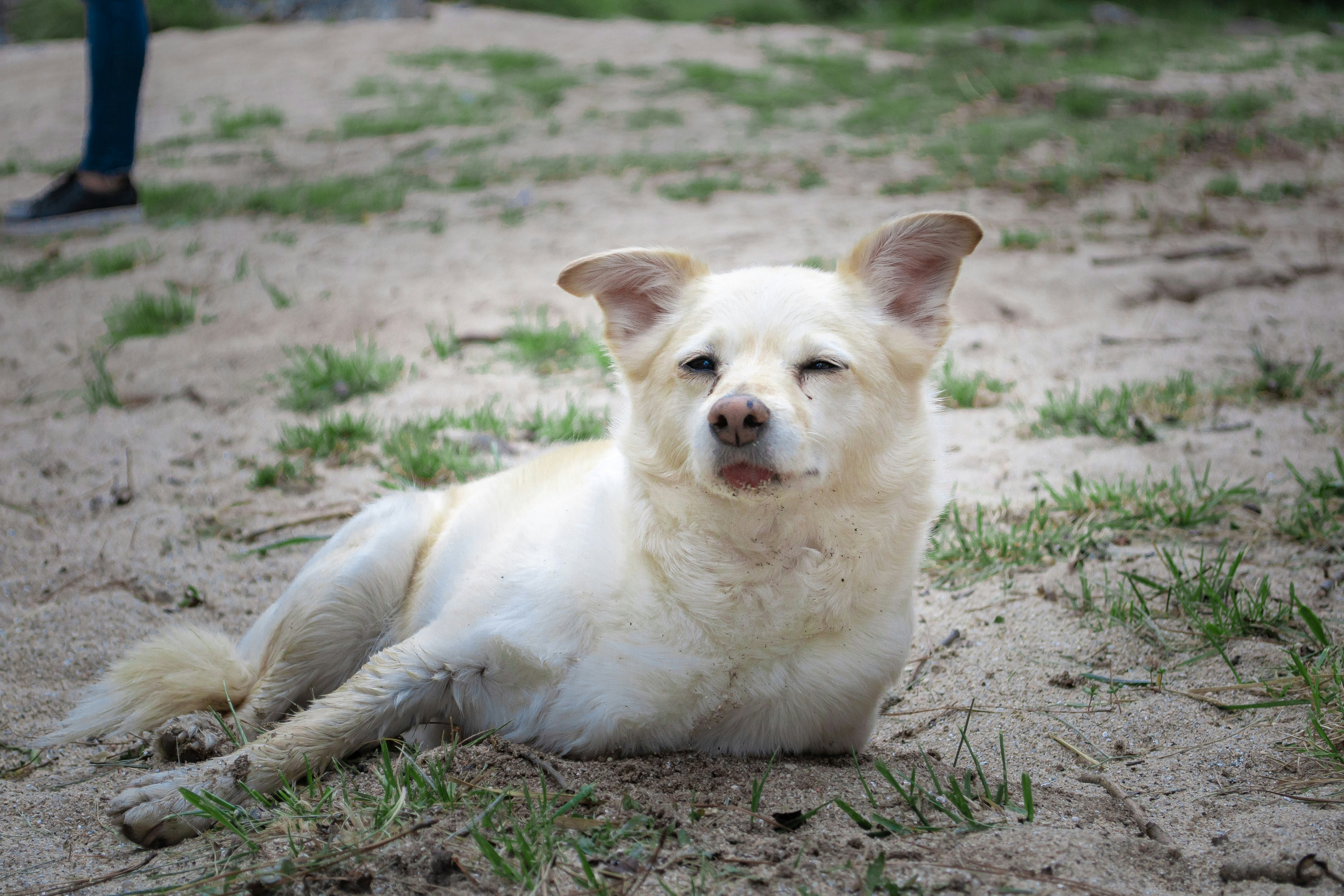 Photo by diseniatica