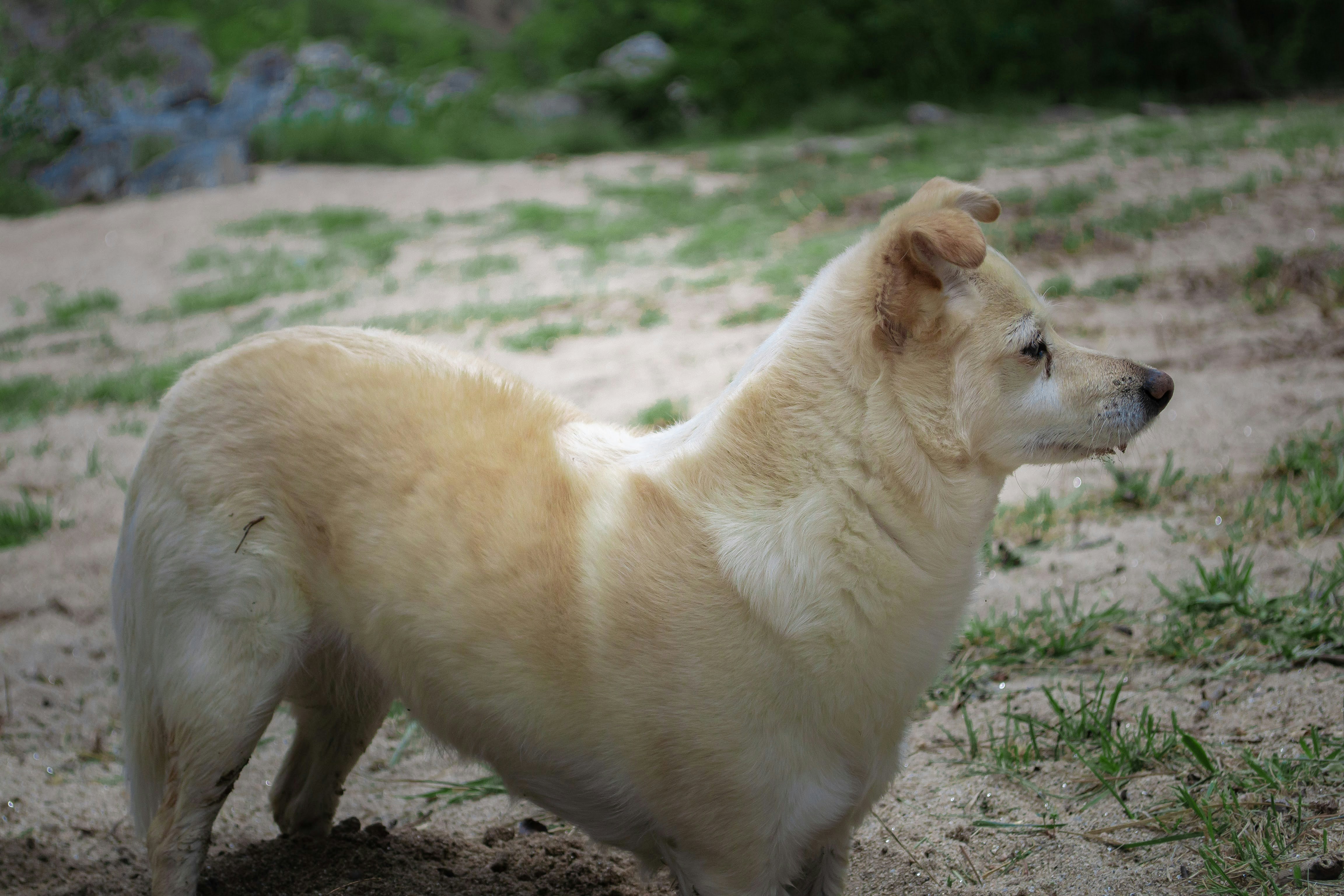 Photo by diseniatica