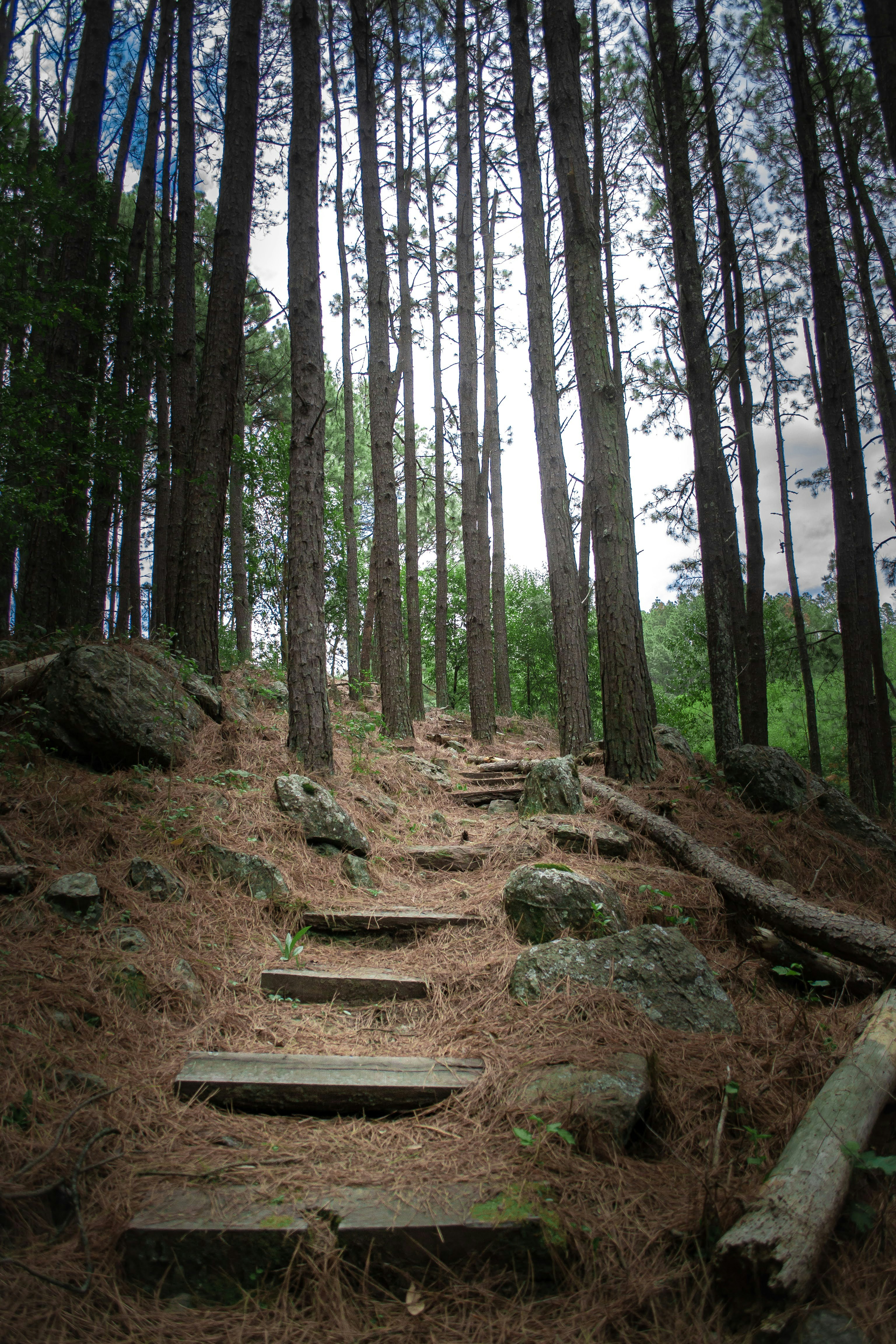 Photo by diseniatica