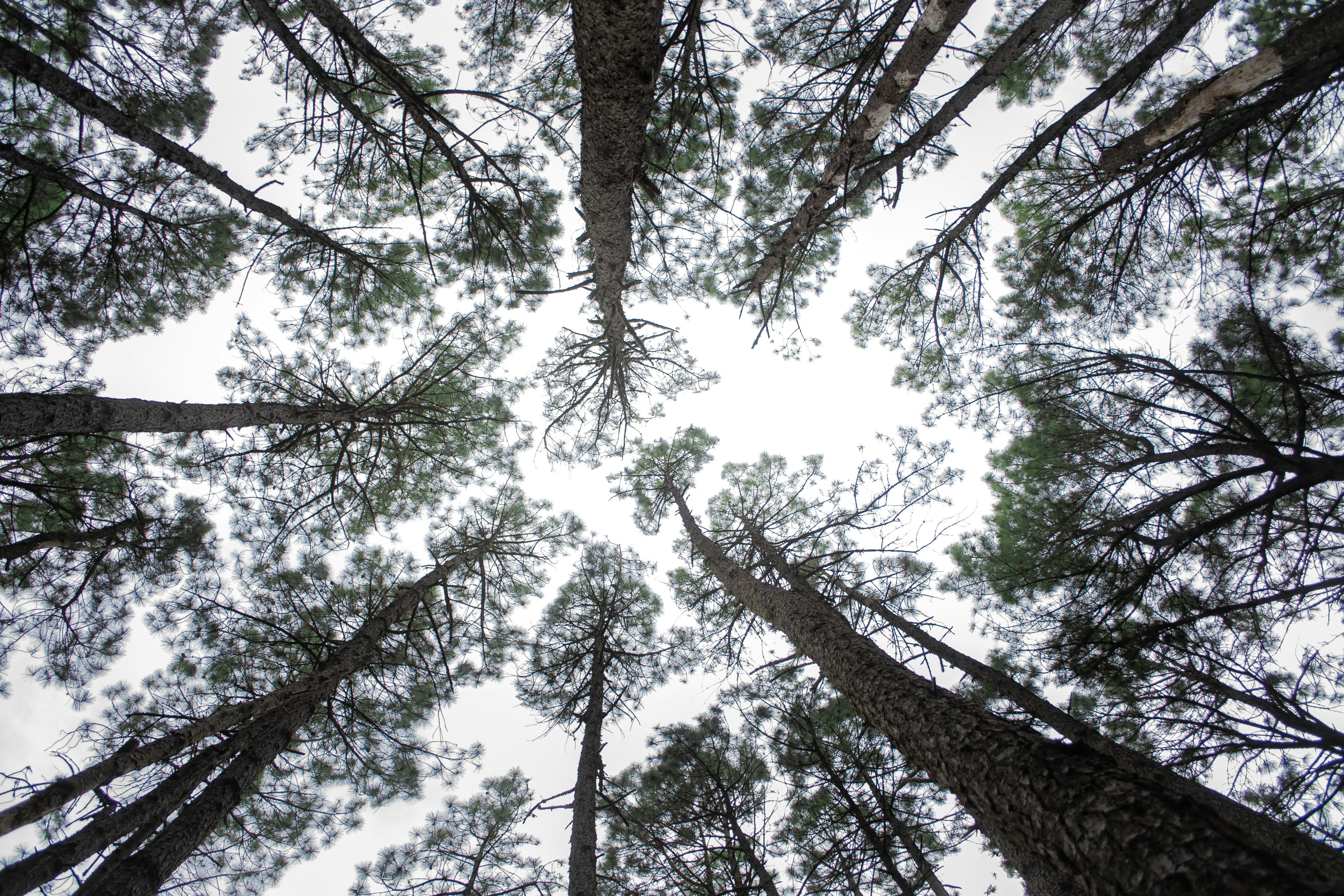 Photo by diseniatica