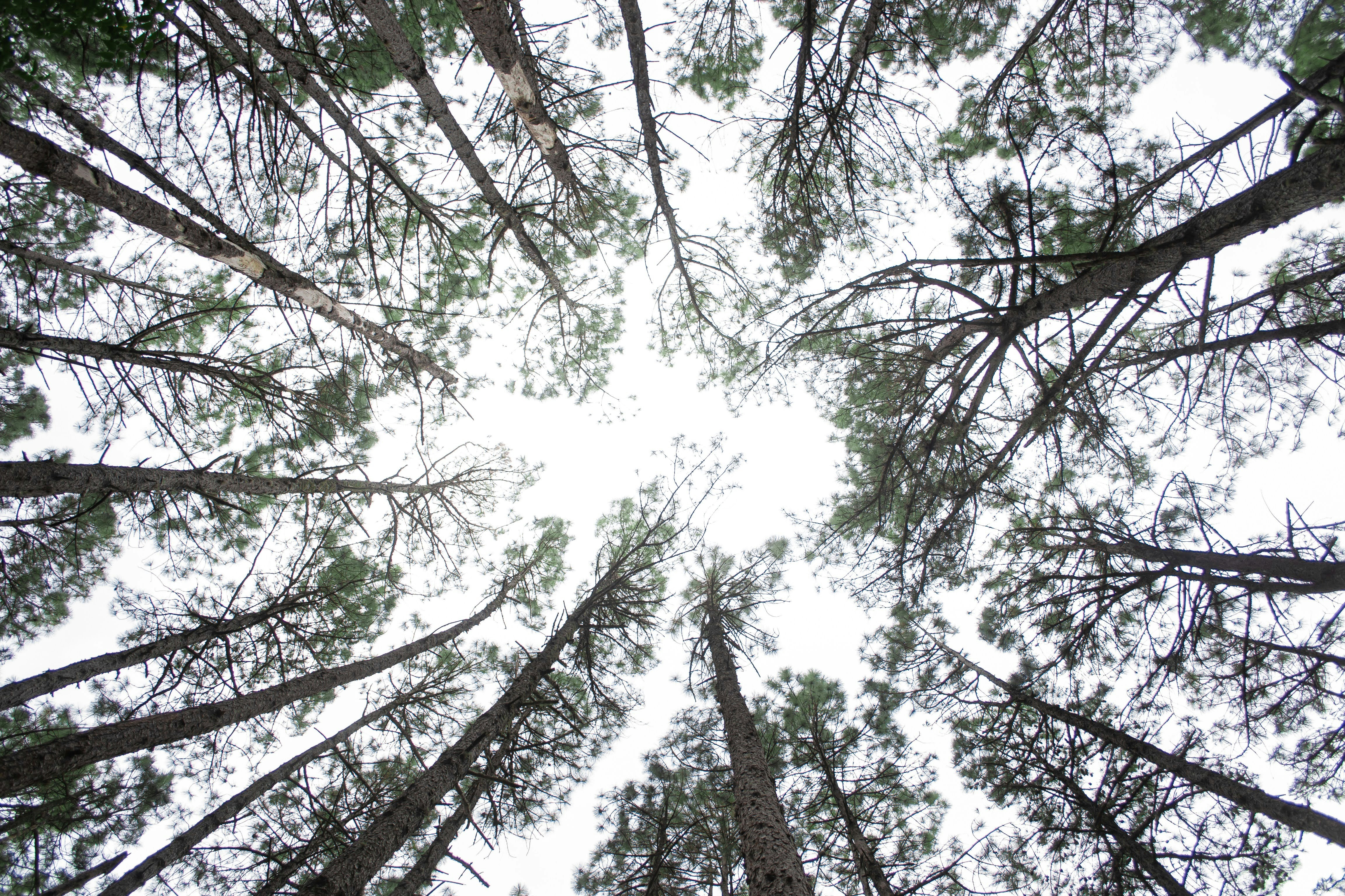 Photo by diseniatica