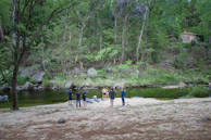 A group of volunteers cleaning a riverbank surrounded by lush greenery.