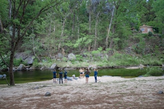 A group of people cleaning a riverbank surrounded by lush greenery.