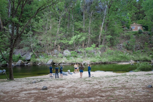 A group of members cleaning a riverbank surrounded by lush greenery.