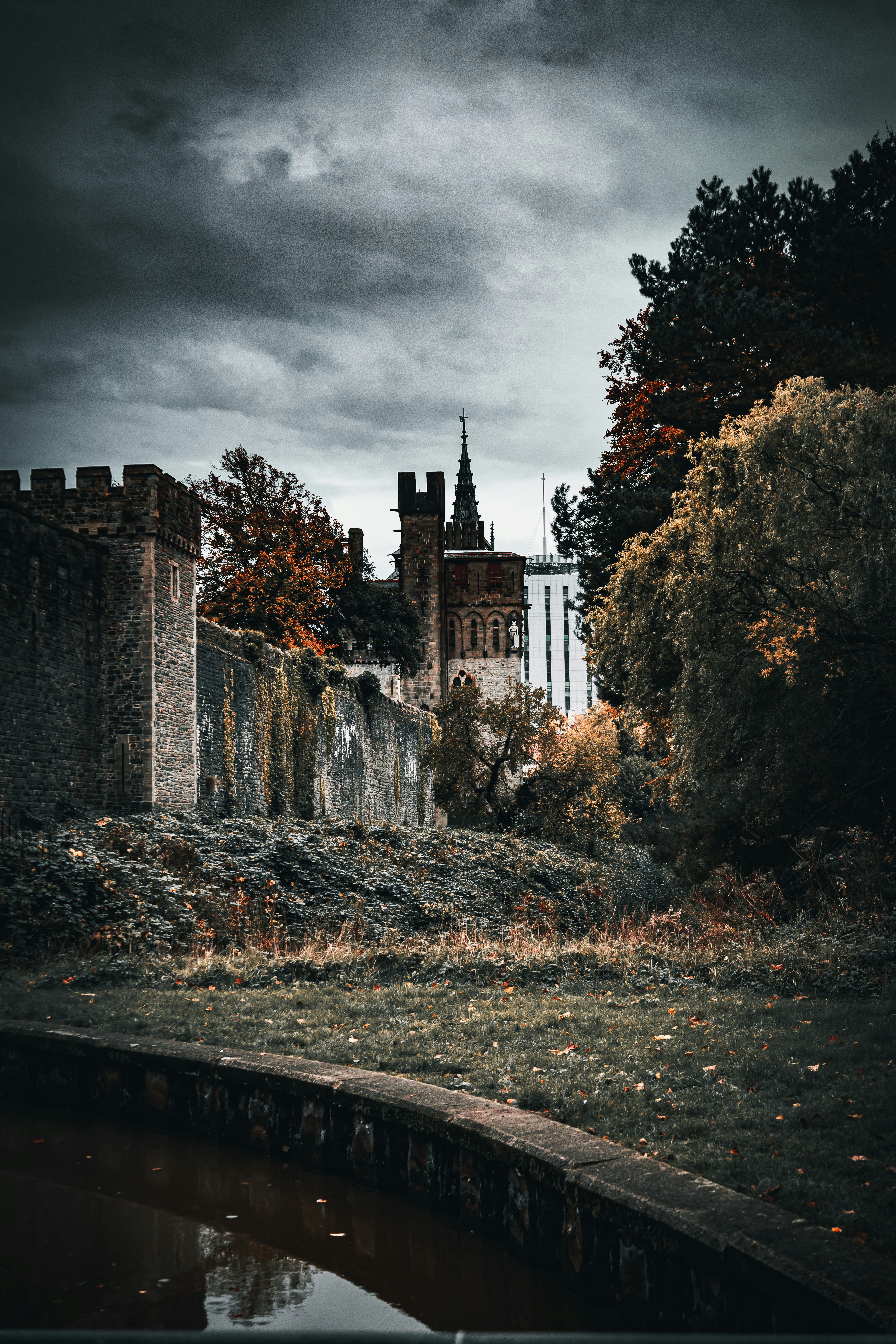 Photo by sammeller
