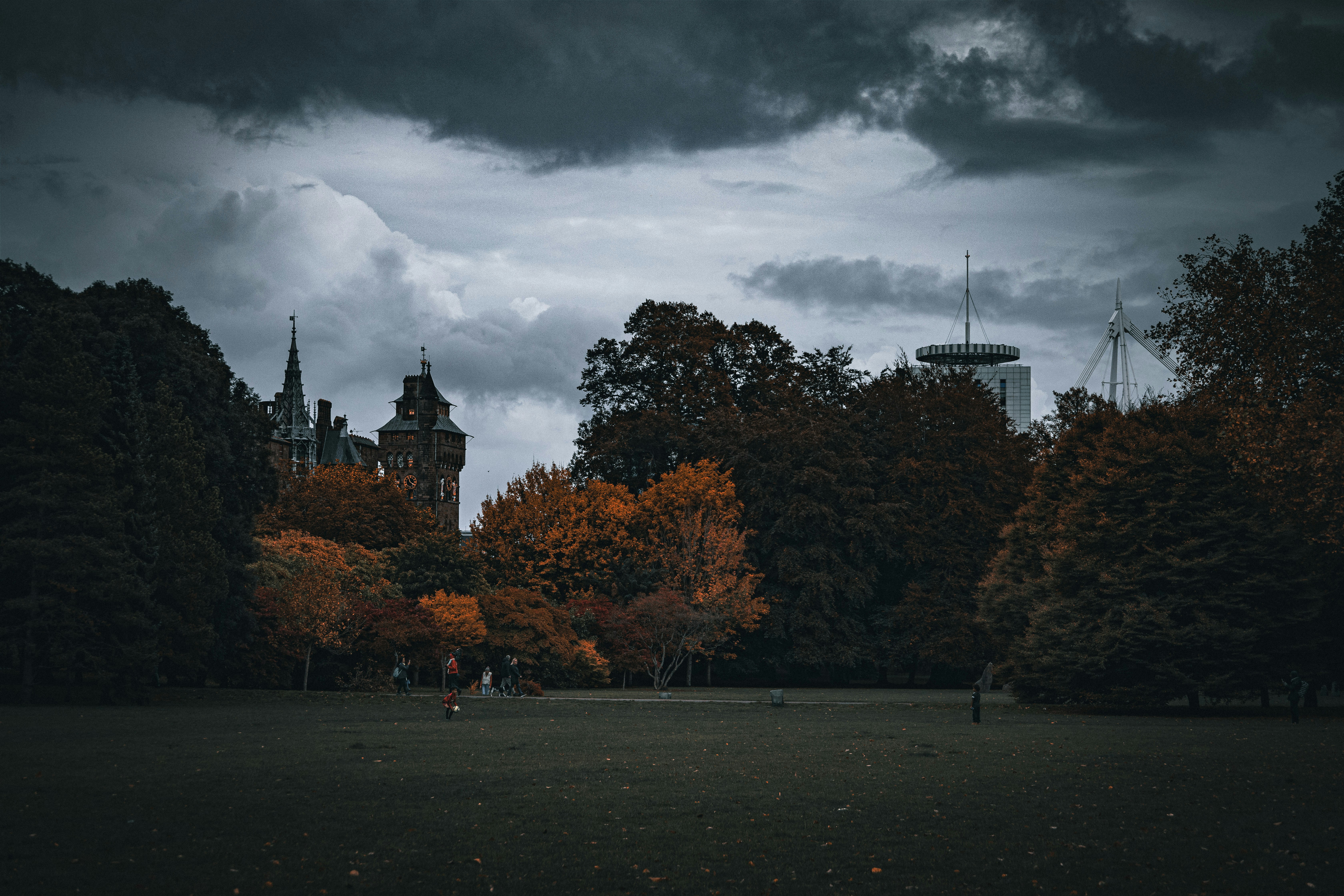 a park with trees and a castle in the background