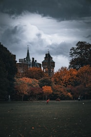 a castle with trees in front of it